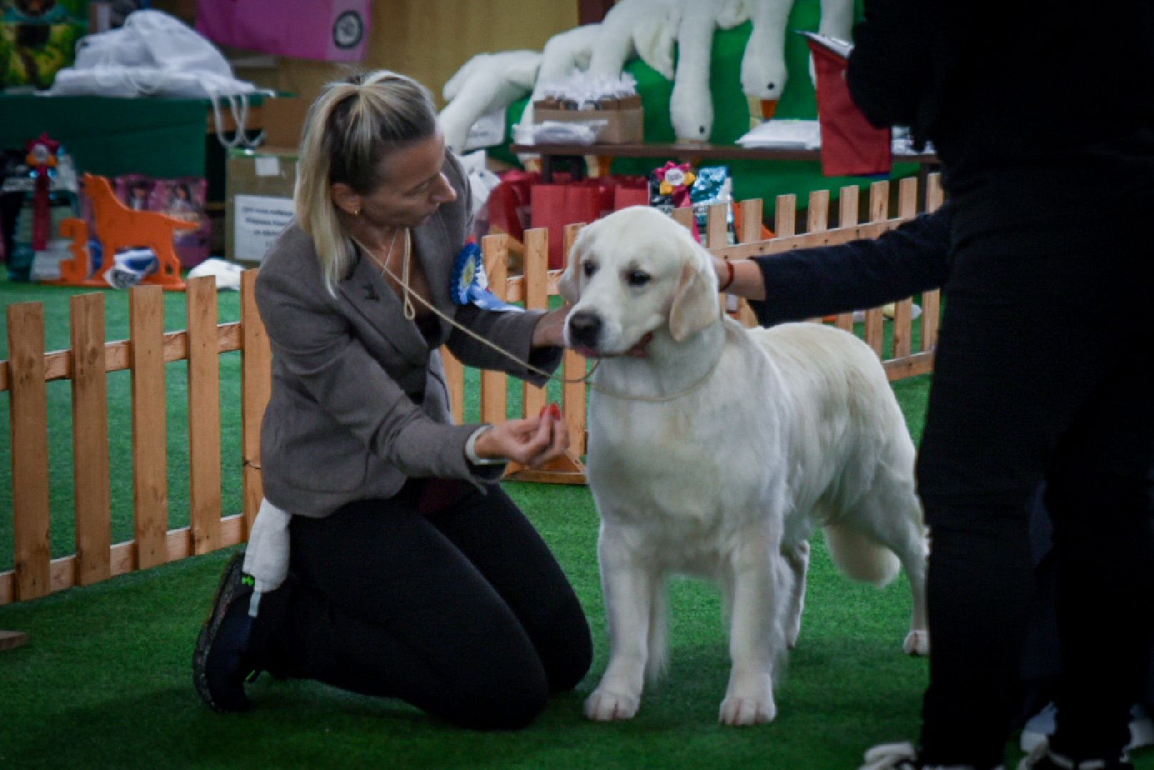 бронницы, выставка собак в бронницах, выставка ретриверов в бронницах, российский ретривер клуб,