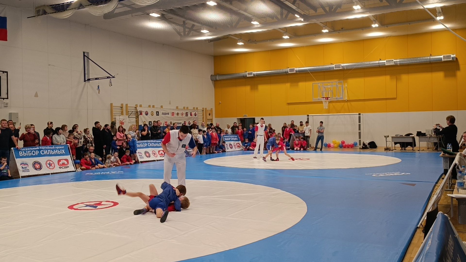 самбо, лобня, спорт,