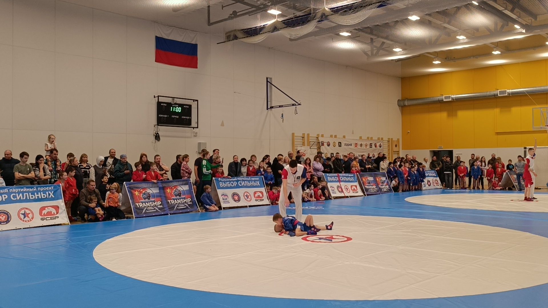 самбо, лобня, спорт,