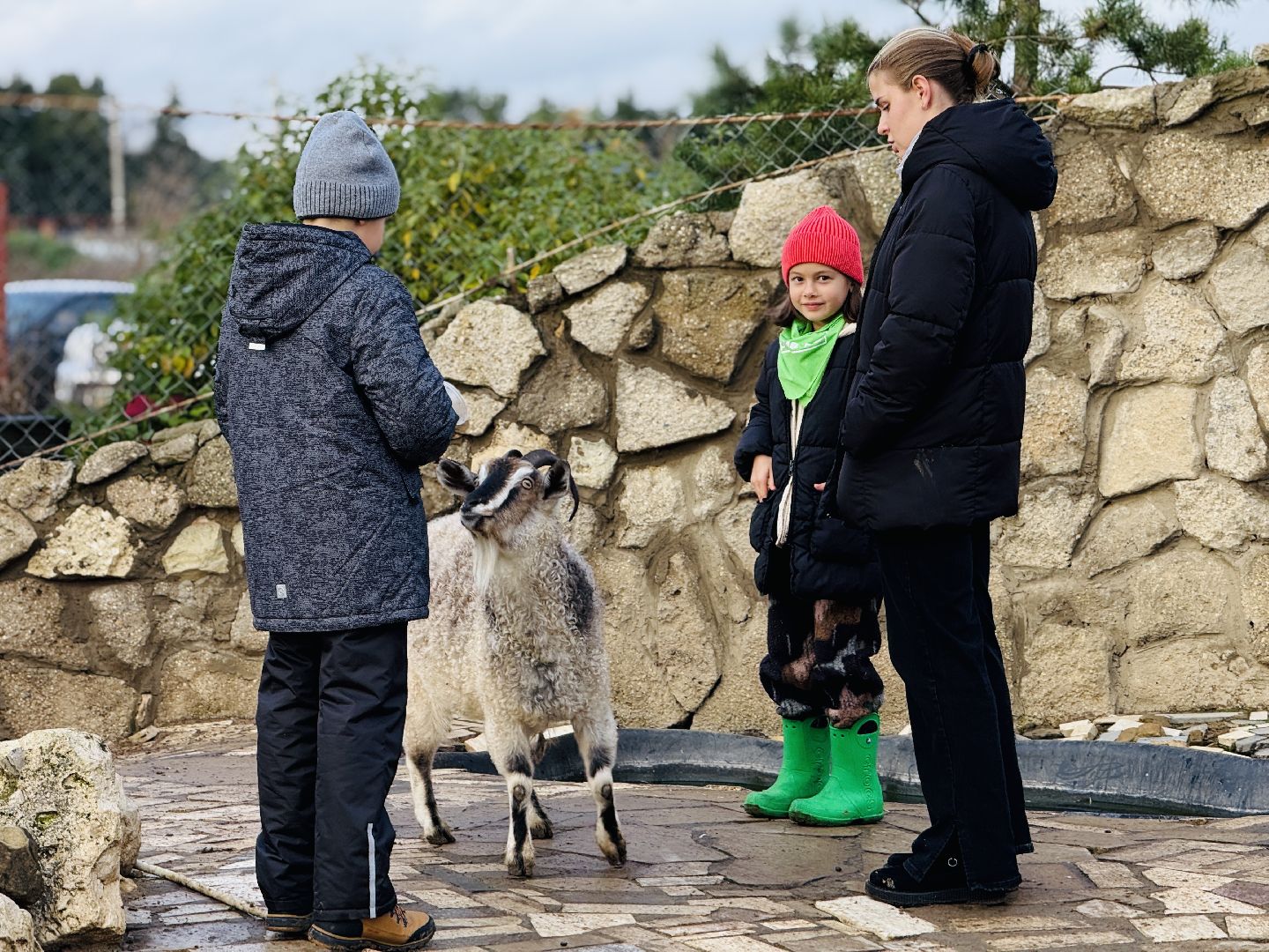 раменское, фестиваль тыкв, туризм, ферма 56,