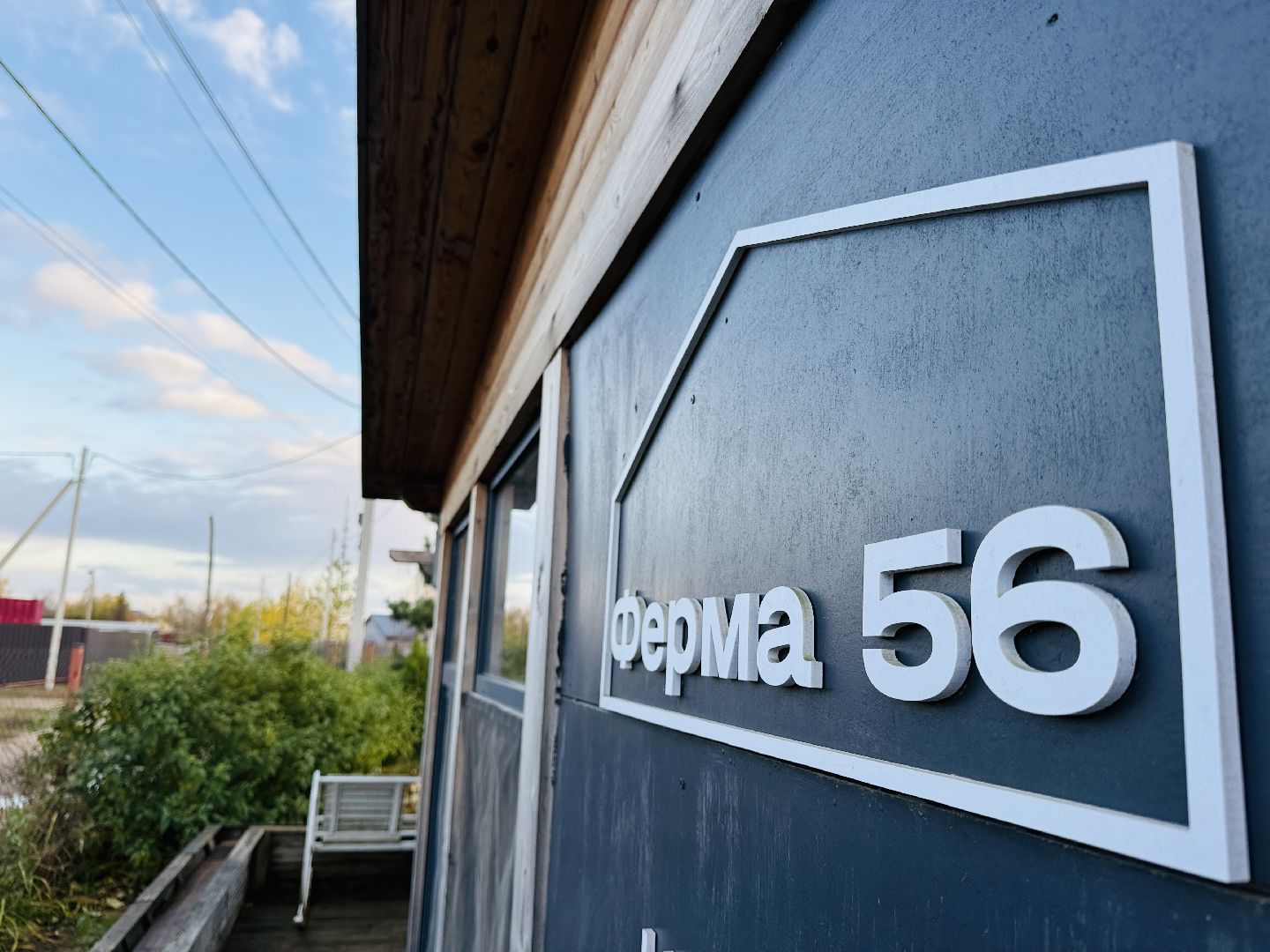 раменское, фестиваль тыкв, туризм, ферма 56,