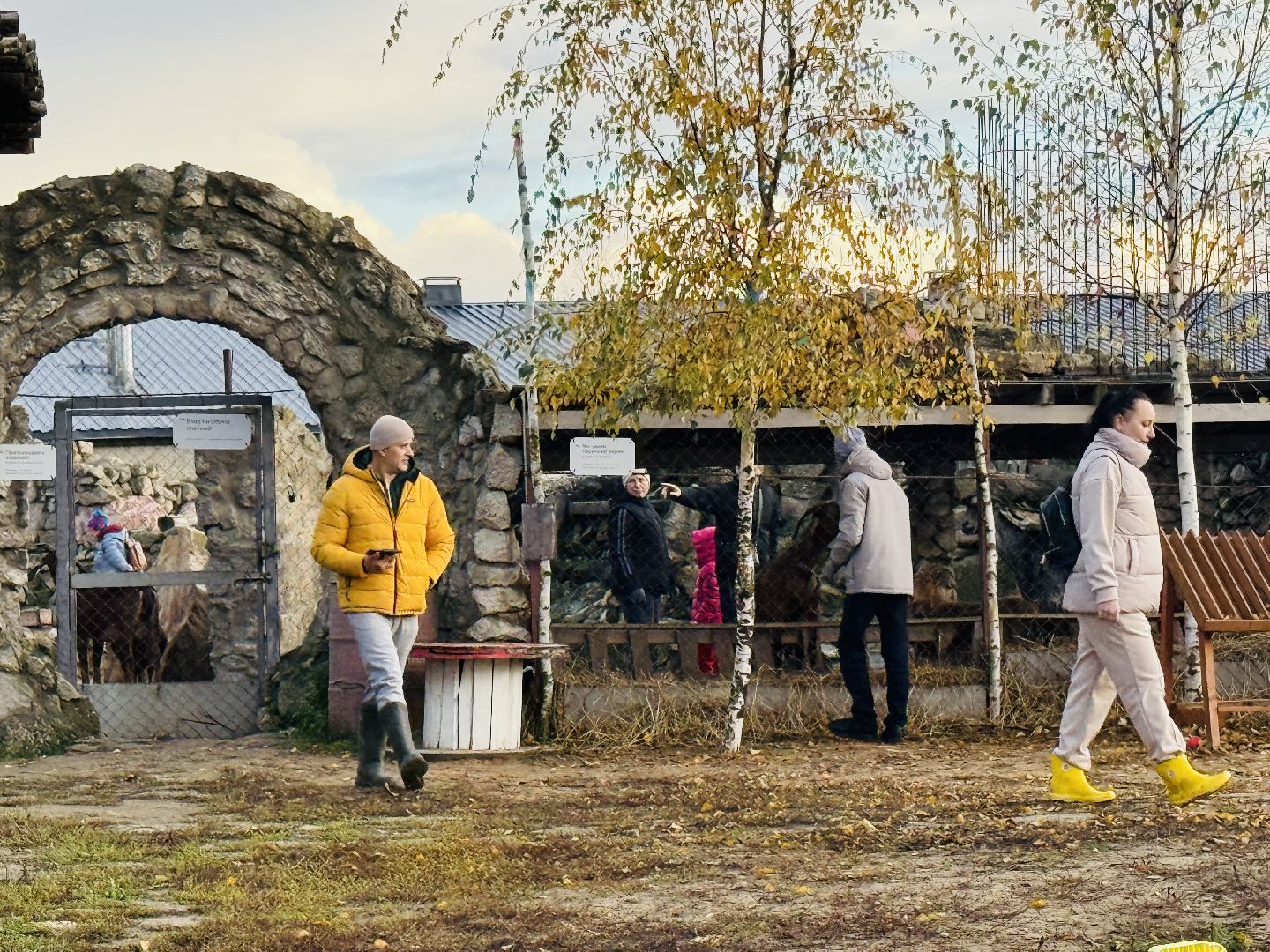 раменское, фестиваль тыкв, туризм, ферма 56,