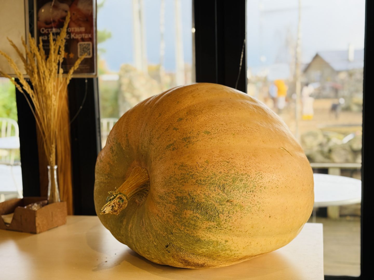 раменское, фестиваль тыкв, туризм, ферма 56,