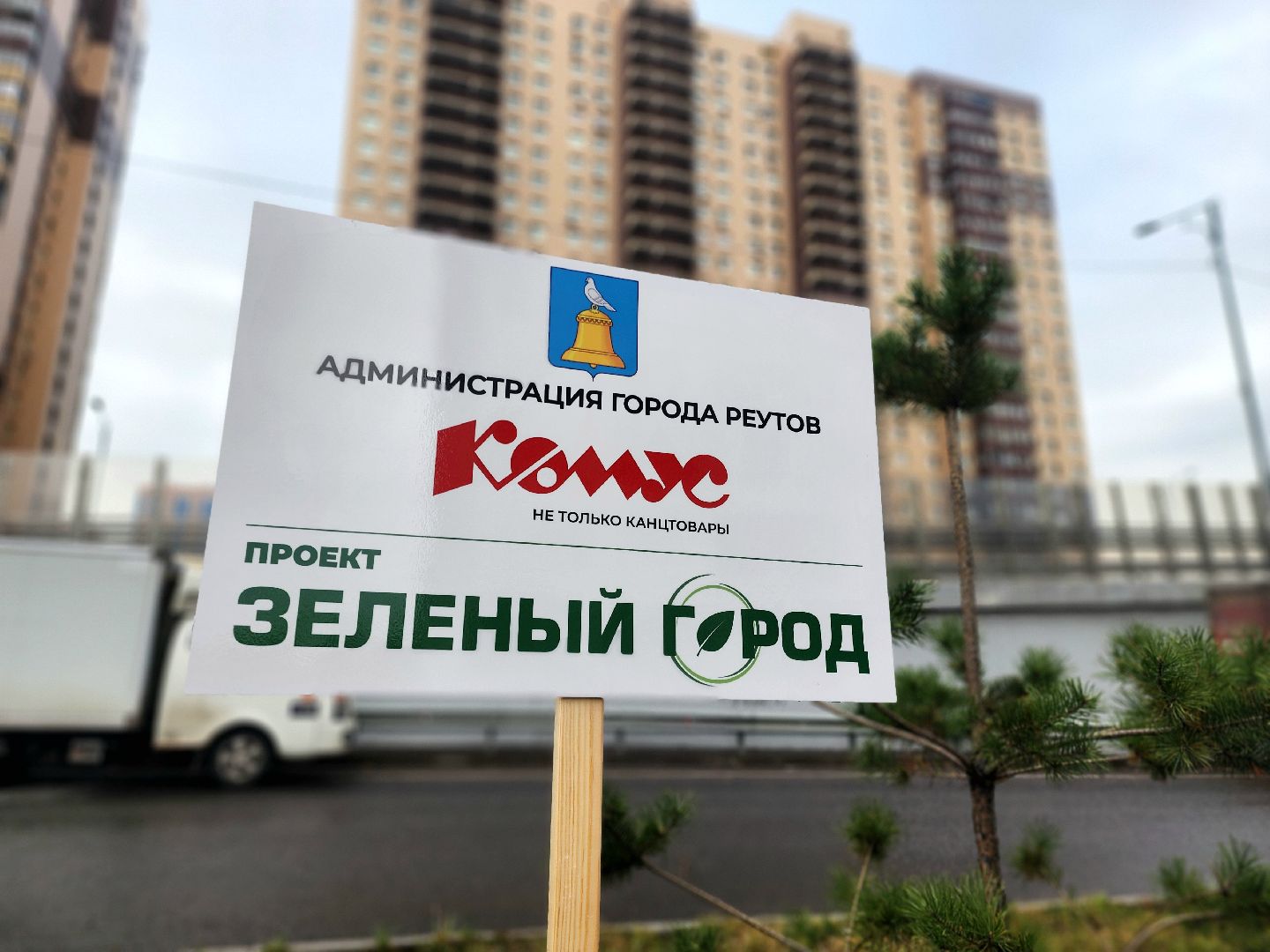 озеленение, деревья, черемуха, экологическая акция,