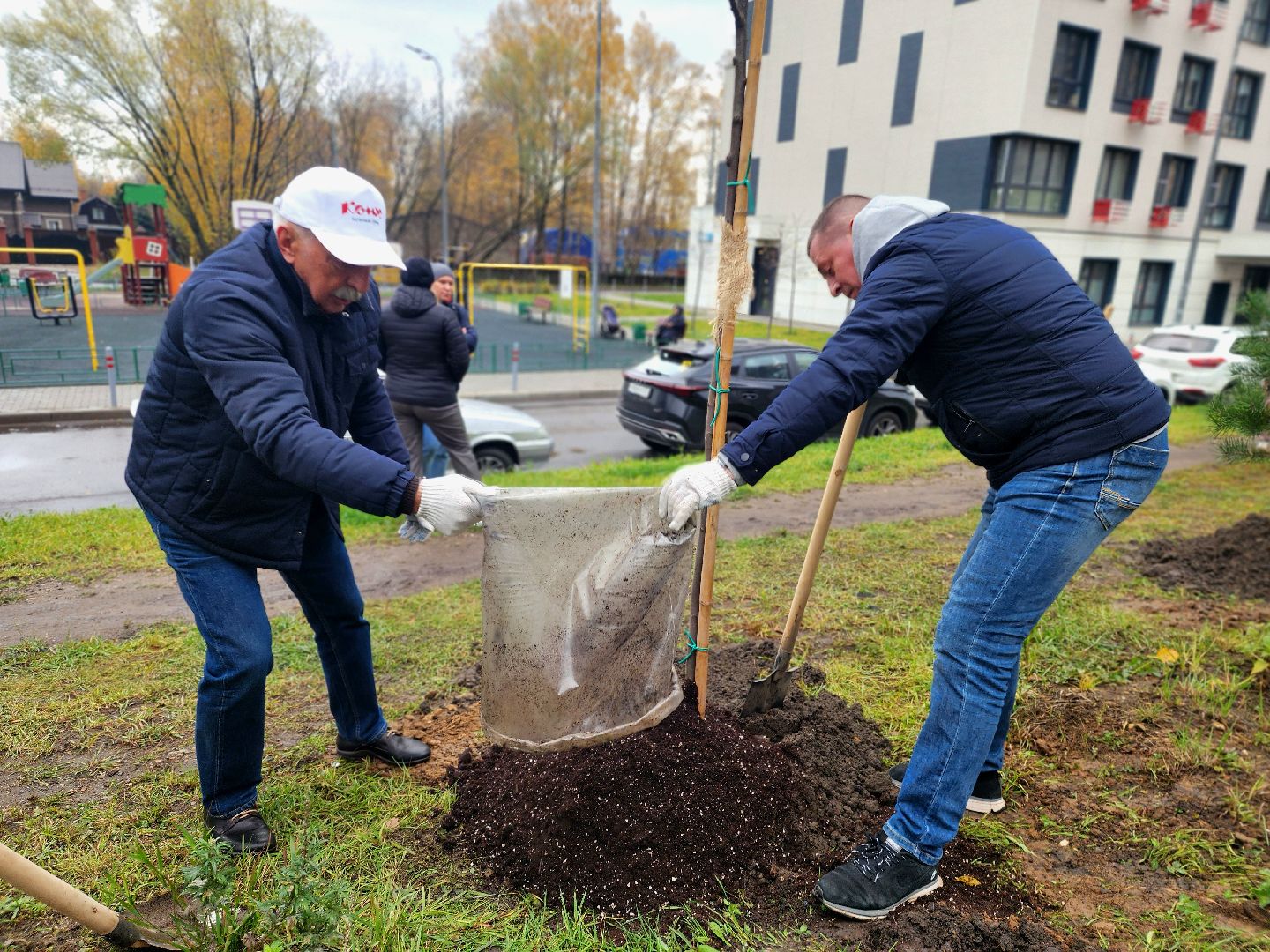 озеленение, деревья, черемуха, экологическая акция,