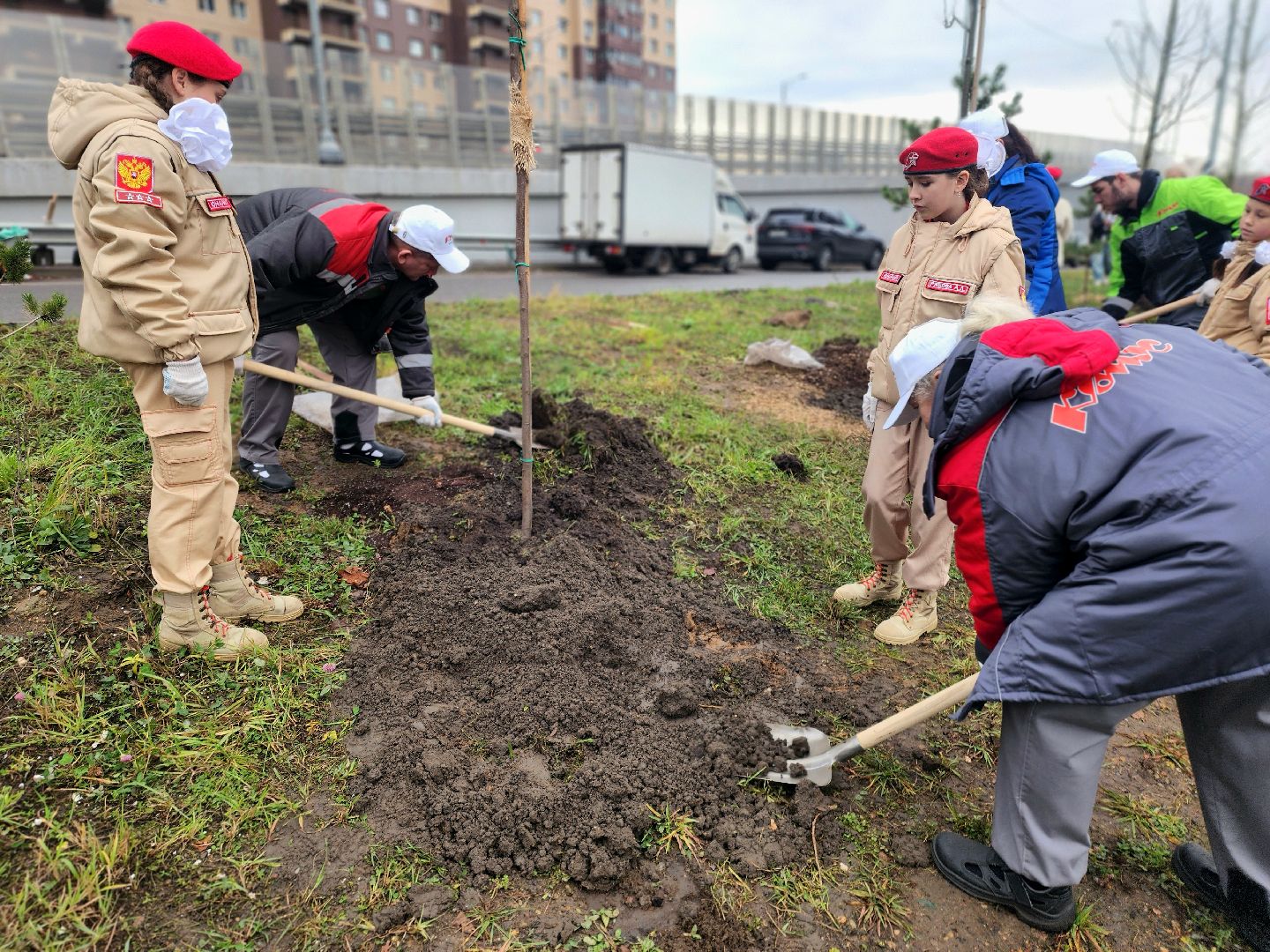 озеленение, деревья, черемуха, экологическая акция,