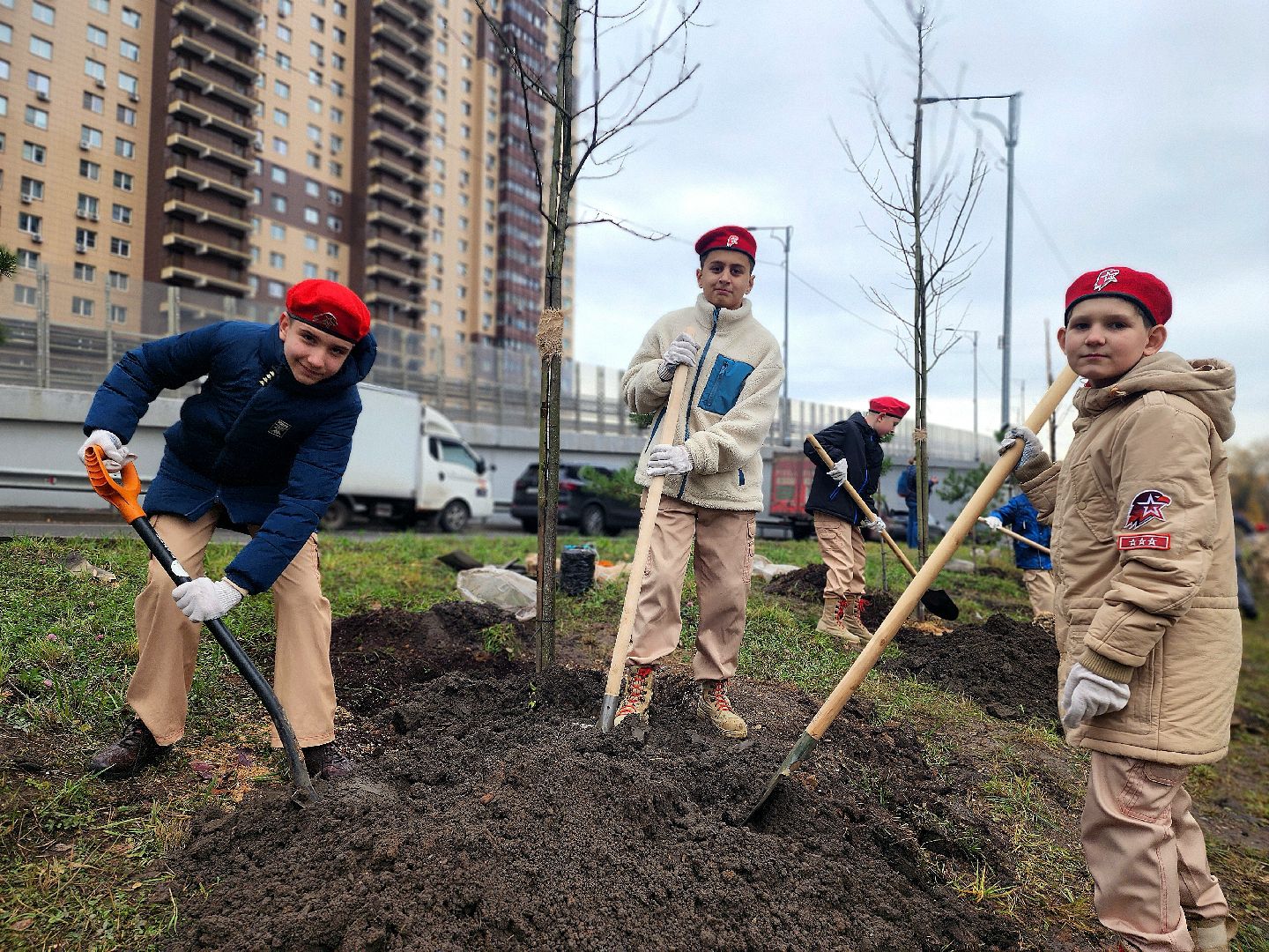 озеленение, деревья, черемуха, экологическая акция,