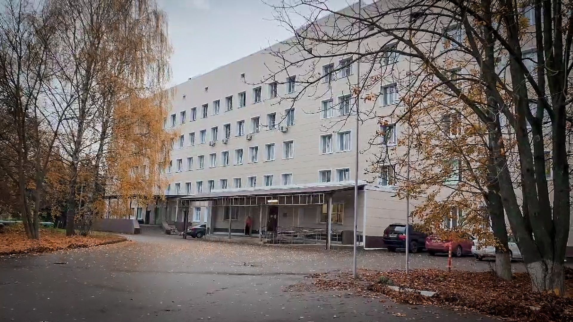 бронницы, новый врач-терапевт , укус ската, врач-терапевт приемного отделения,