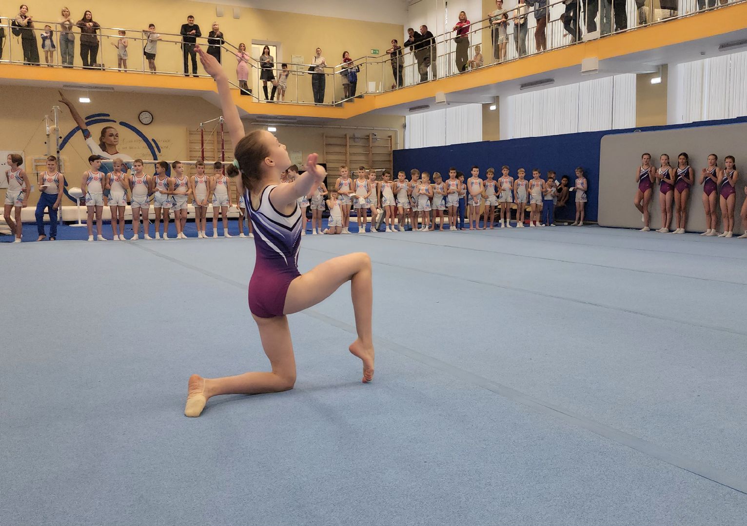 наро-фоминск, наро-фоминский городской округ, трудовые резервы, спортивная гимнастика, день тренера,