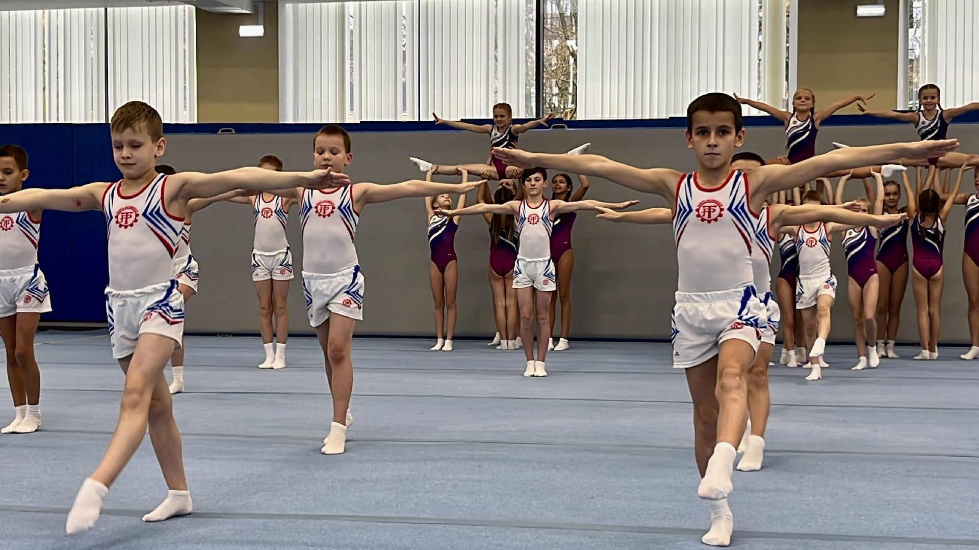 наро-фоминск, наро-фоминский городской округ, трудовые резервы, спортивная гимнастика, день тренера,