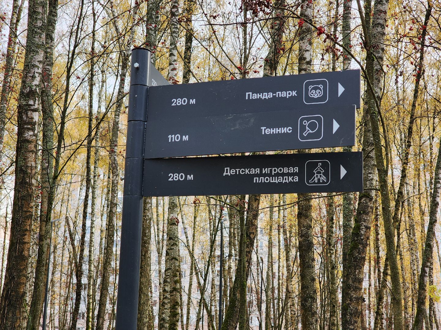 чехов, микрорайон губернский, лесопарк, строительство, благоустройство, многофункциональный павильон, универсальный павильон,   металлический каркас, сэндвич панели, фундамент, полы, видеокамеры, система безопасный регион, установка и монтаж,госпрограмма московской области, формирование комфортной городской среды,