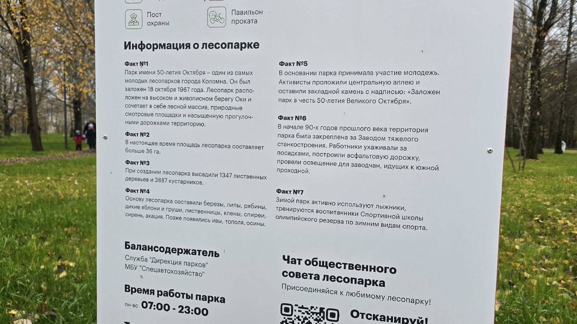 Коломна, парки в лесу,благоустройство,