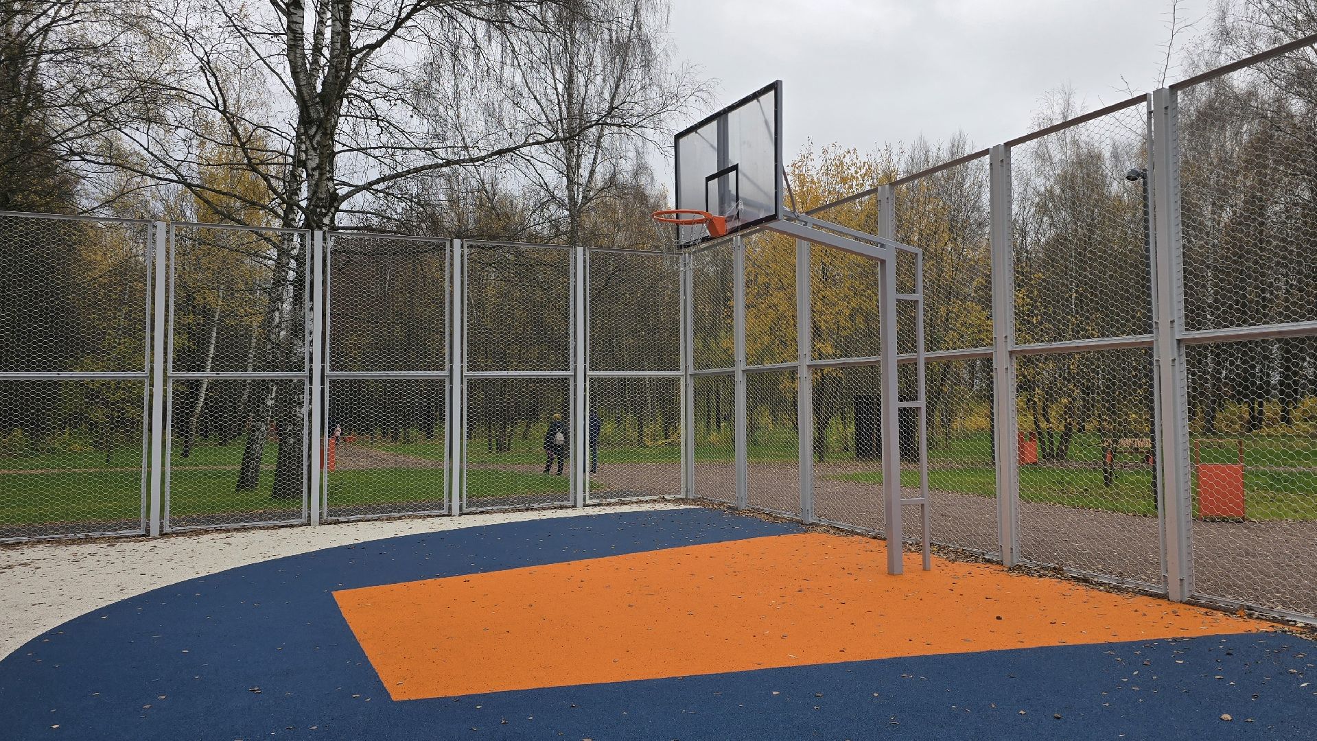 Коломна, парки в лесу,благоустройство,