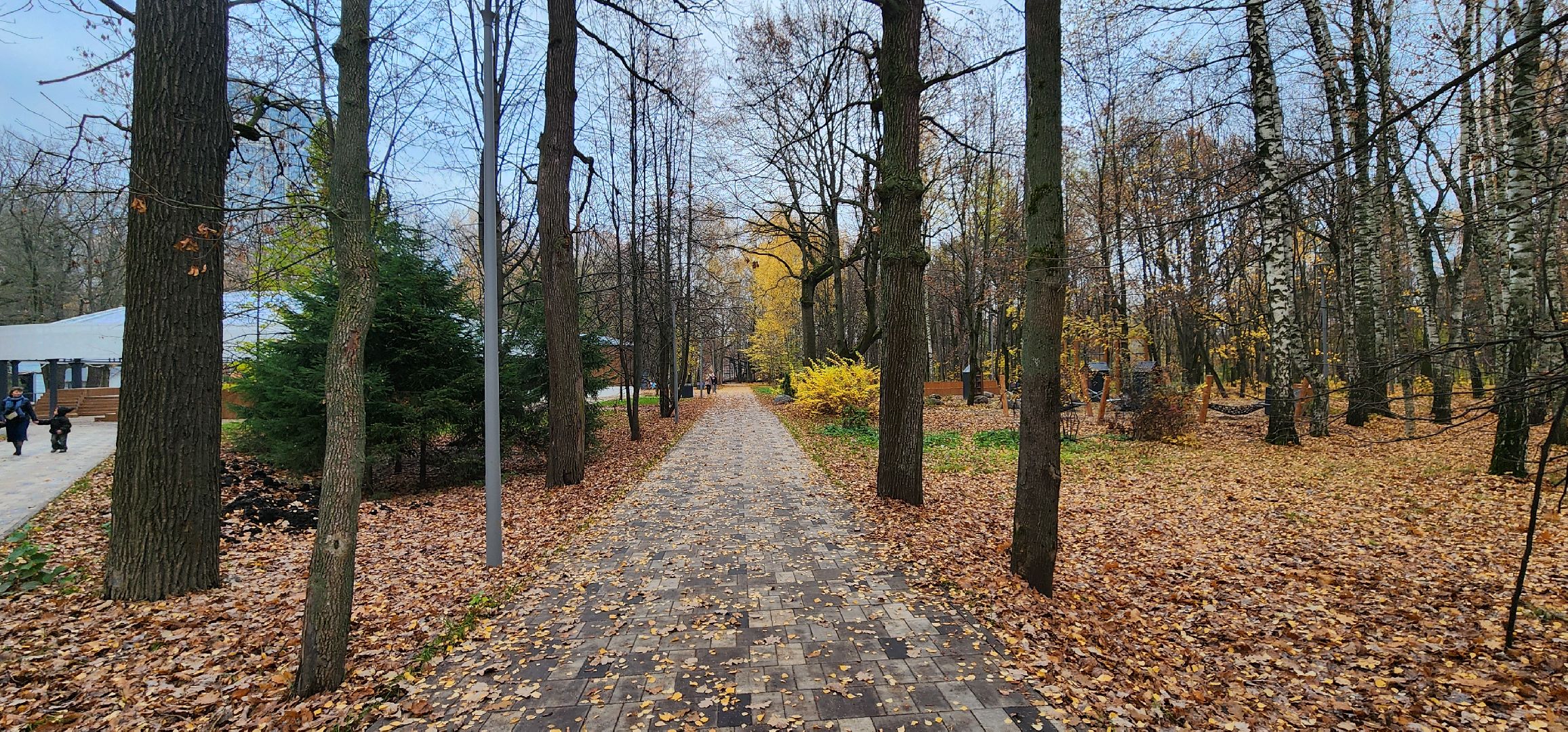 Химки, Благоустройство , общественные пространства, Культура,