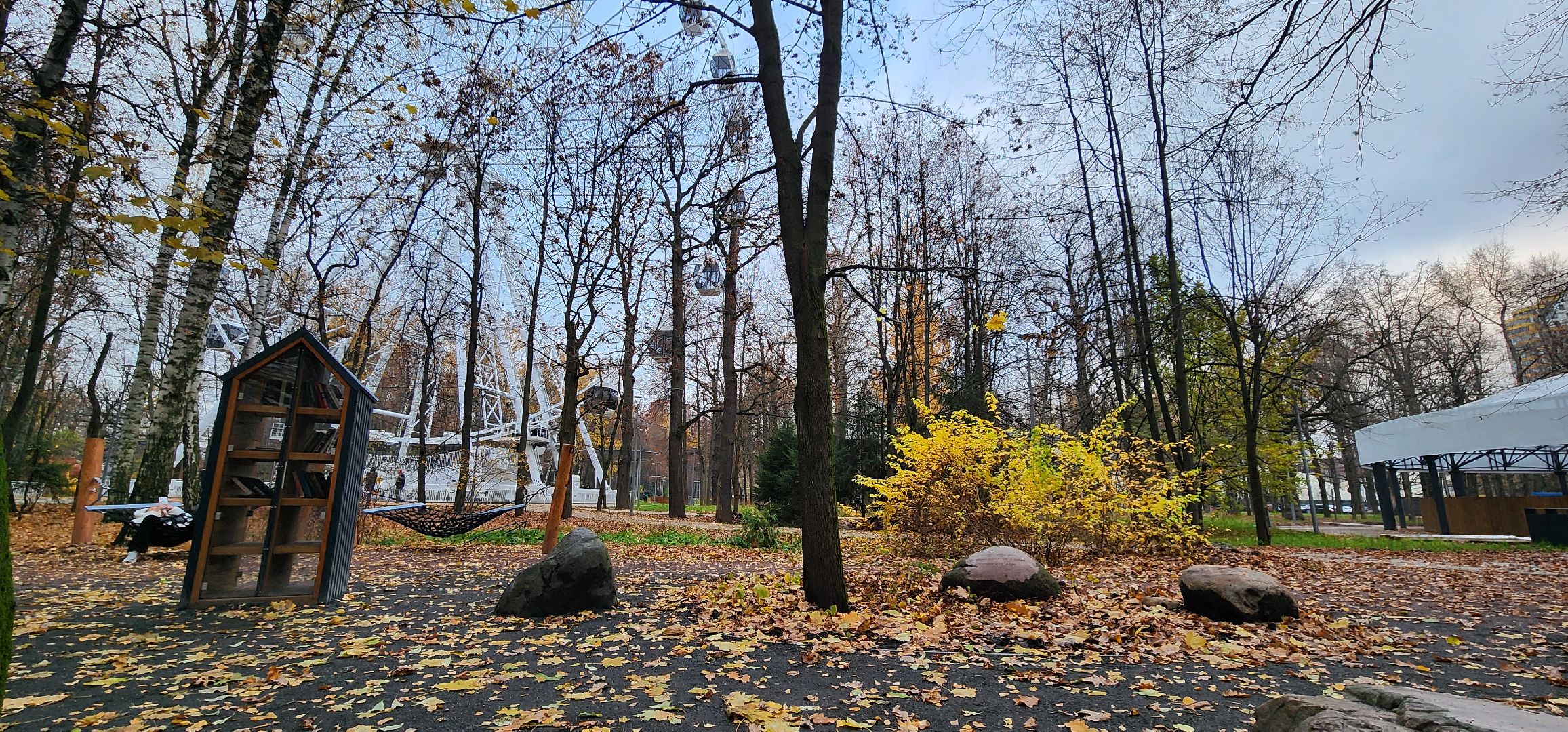 Химки, Благоустройство , общественные пространства, Культура,