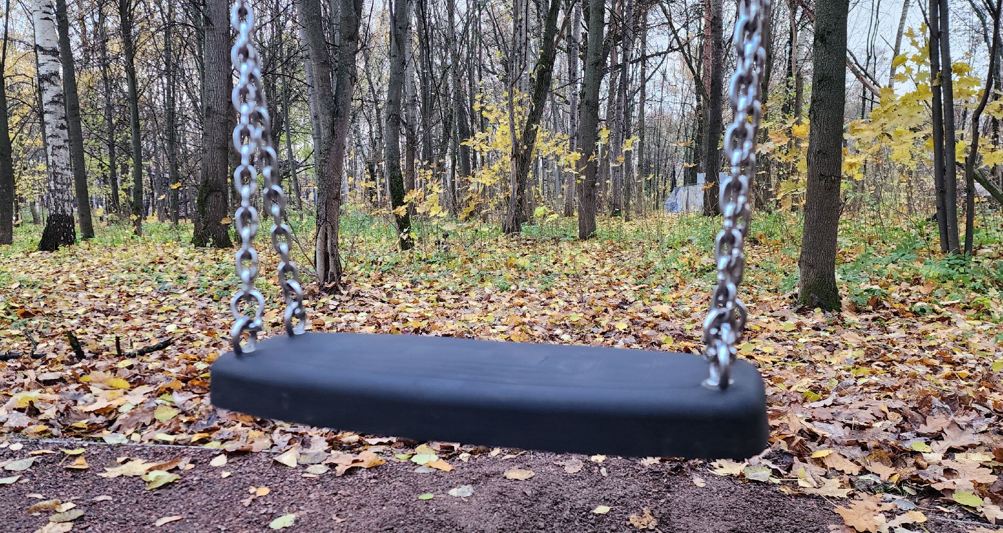 Химки, Благоустройство , общественные пространства, Культура,