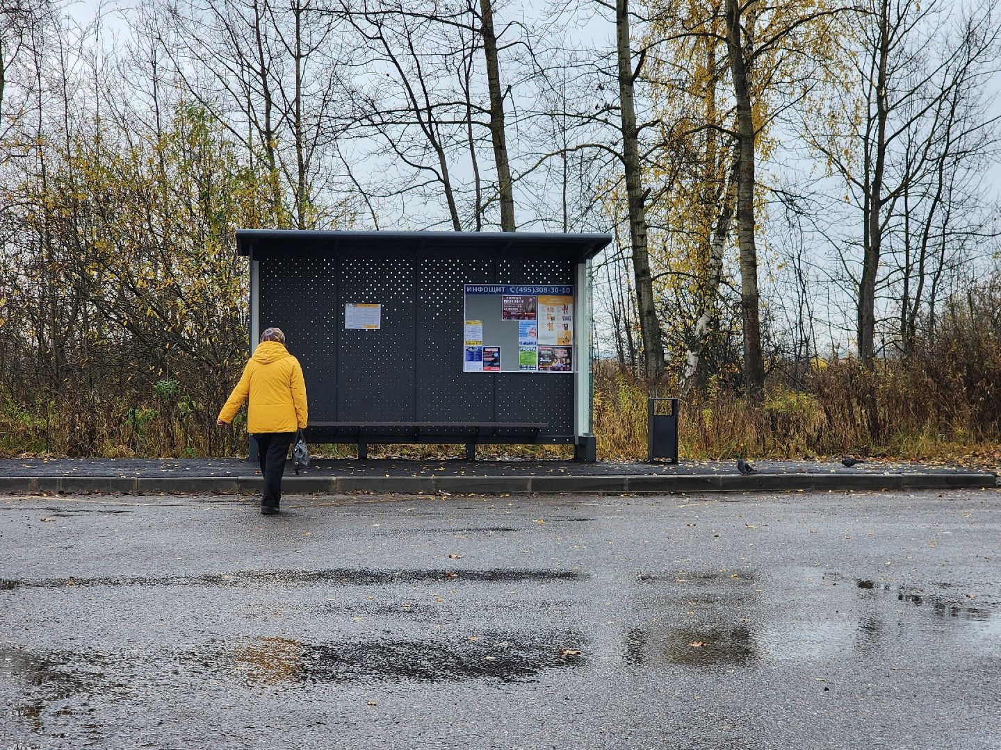 фрязино, новая остановка, общественный транспорт, остановочный павильон,