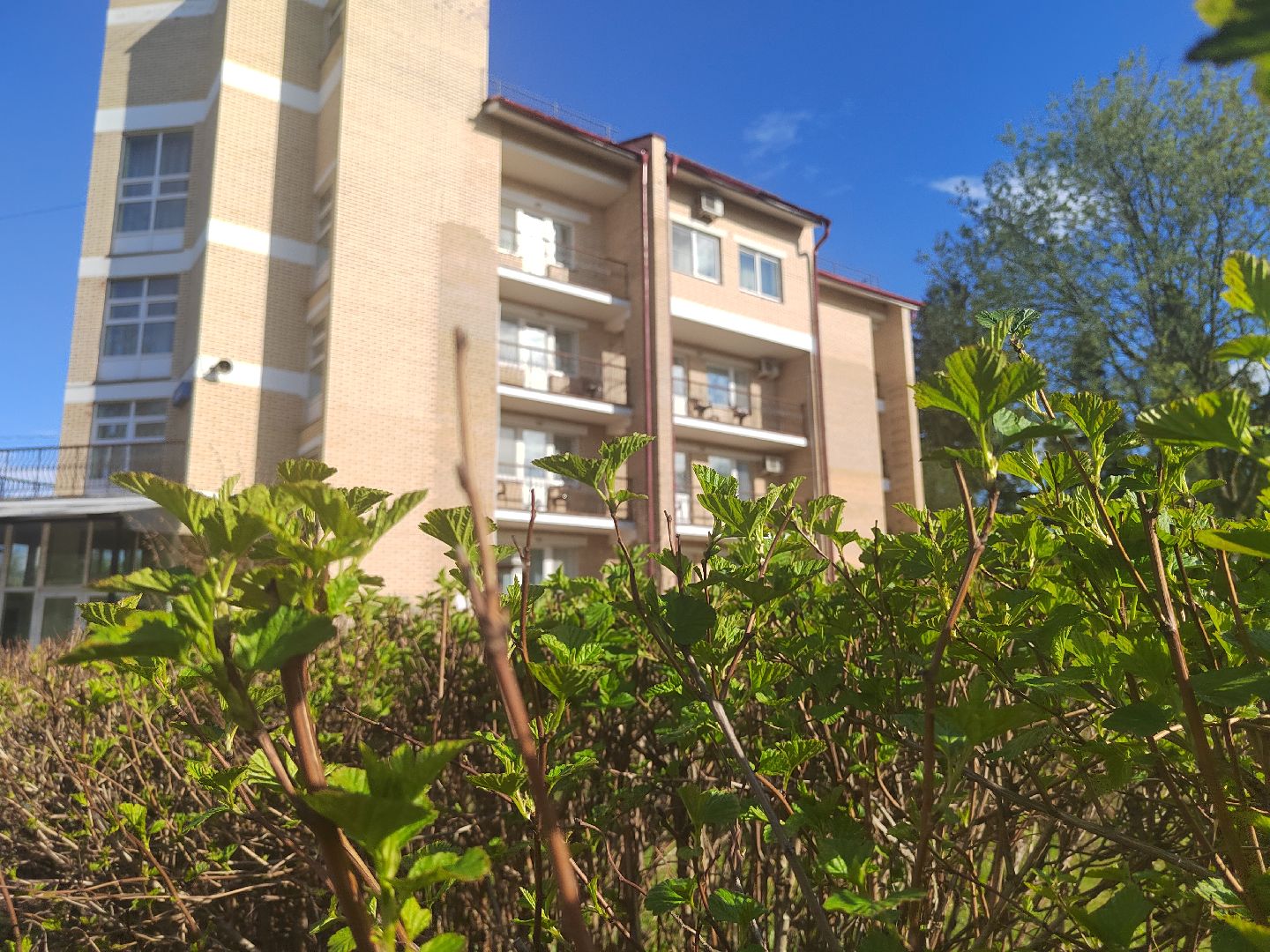 Пушкино, Санаторий, здоровье, медицина, весна в Подмосковье