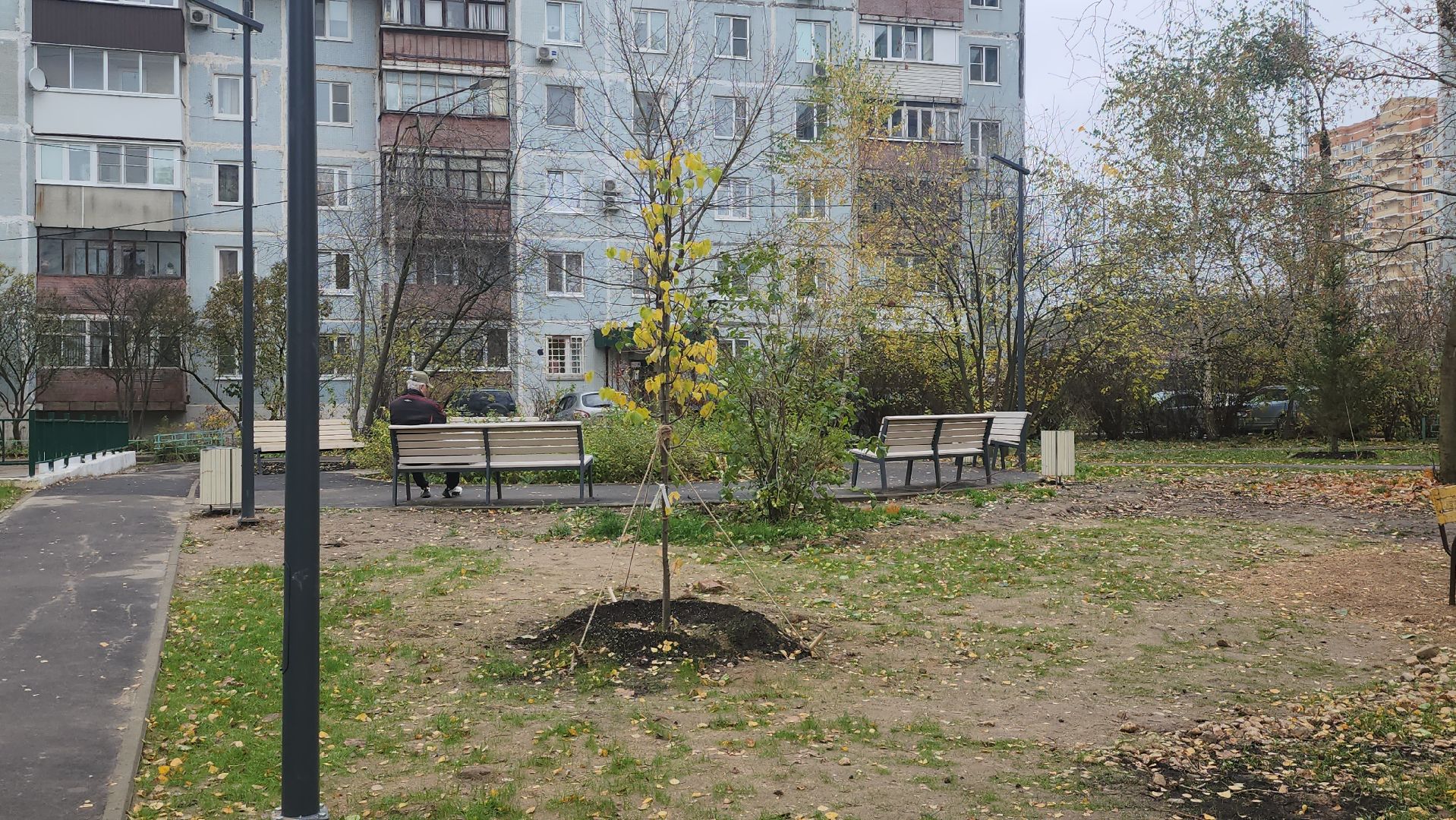 щёлково, благоустройство, новое освещение,