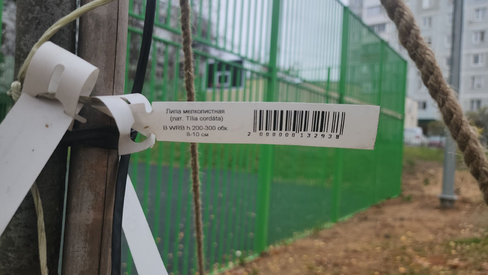 щёлково, благоустройство, новое освещение,