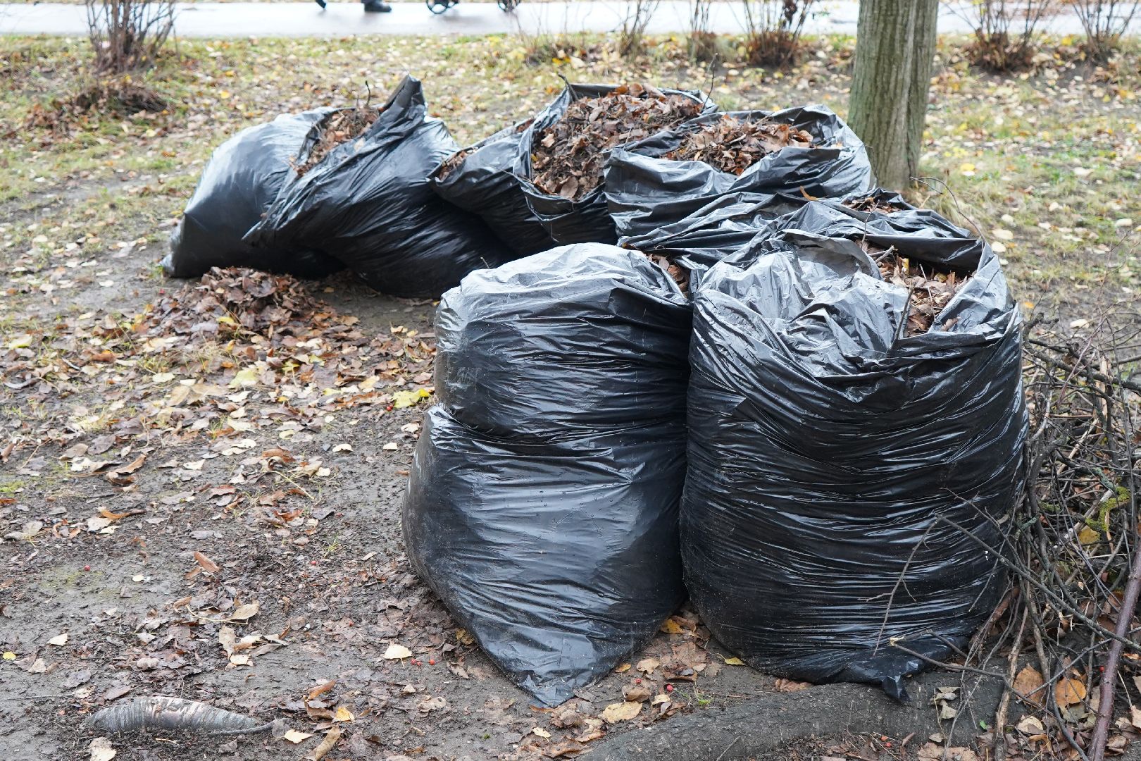 дворники, уборка листвы, ступино,