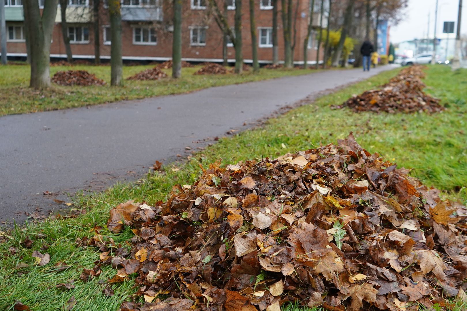 дворники, уборка листвы, ступино,