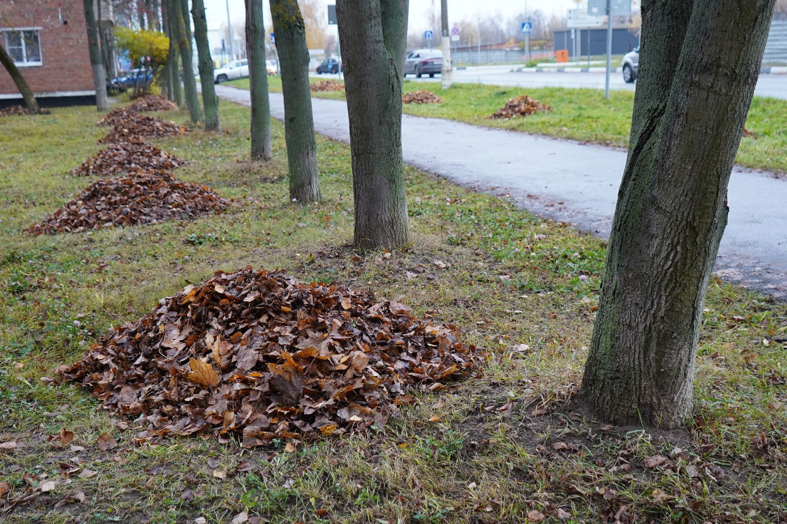 дворники, уборка листвы, ступино,