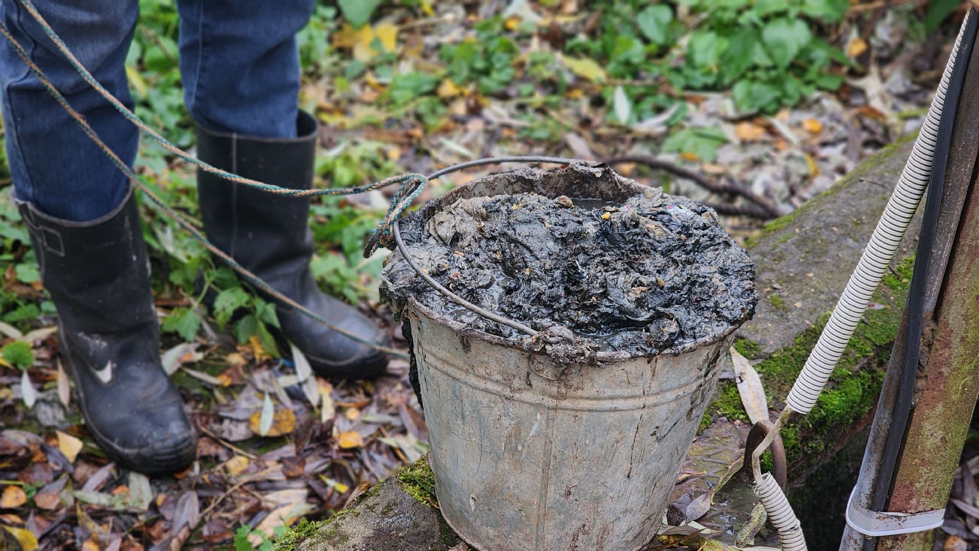 жкх, канализация, водоотведение, лосино-петровский, водоканал,