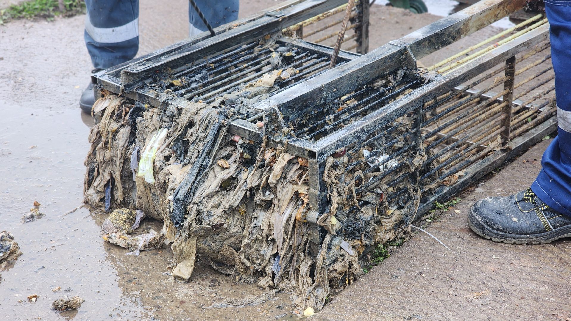 жкх, канализация, водоотведение, лосино-петровский, водоканал,