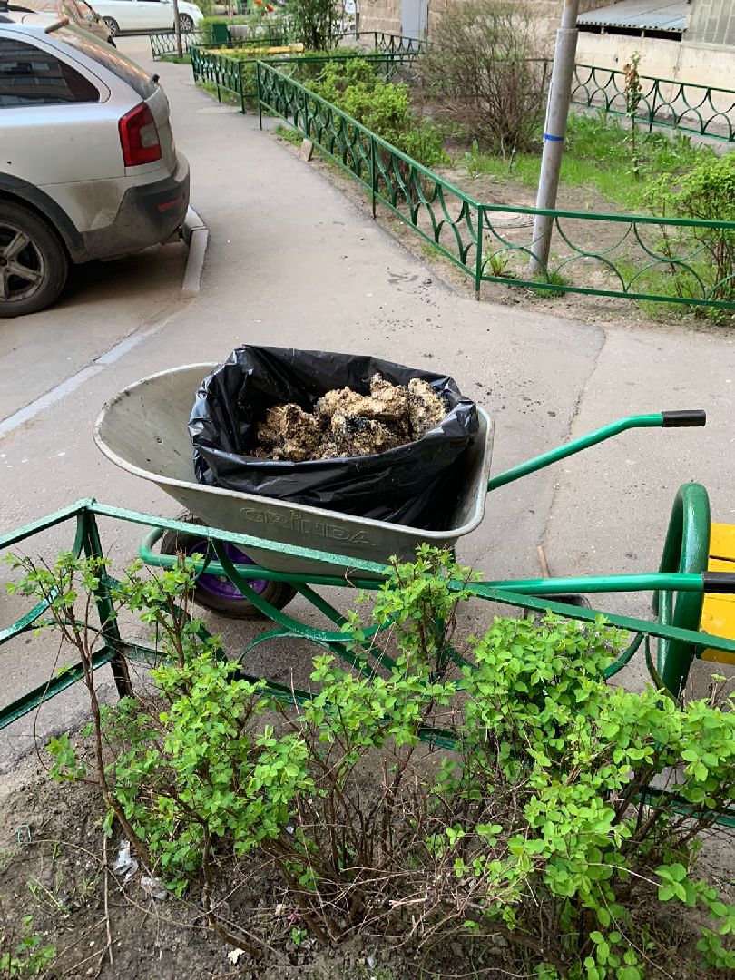 засоры, канализование, Котельники