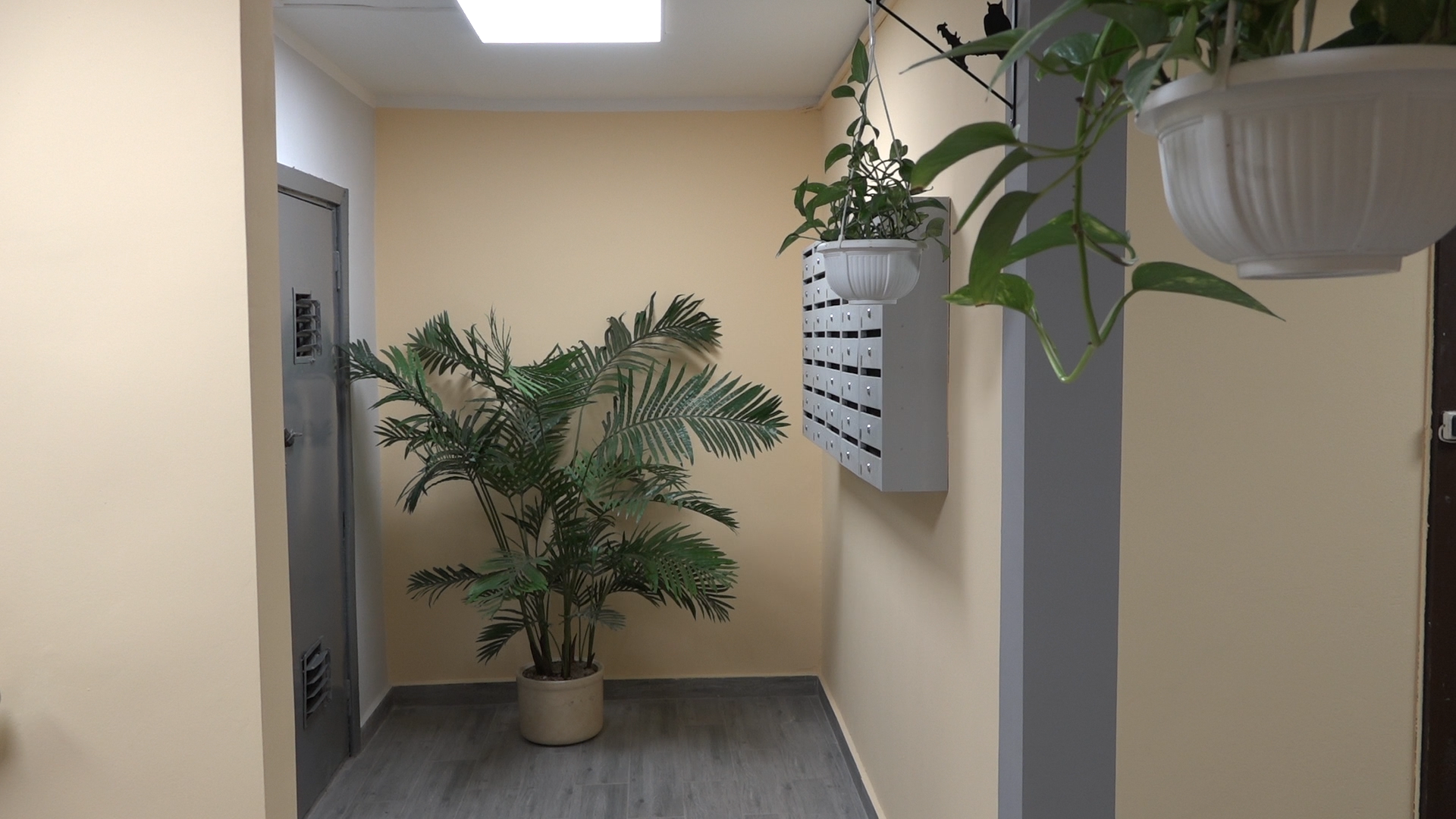 текущий ремонт, ремонт мкд, власиха мкд, микрорайон березка, совет дома,