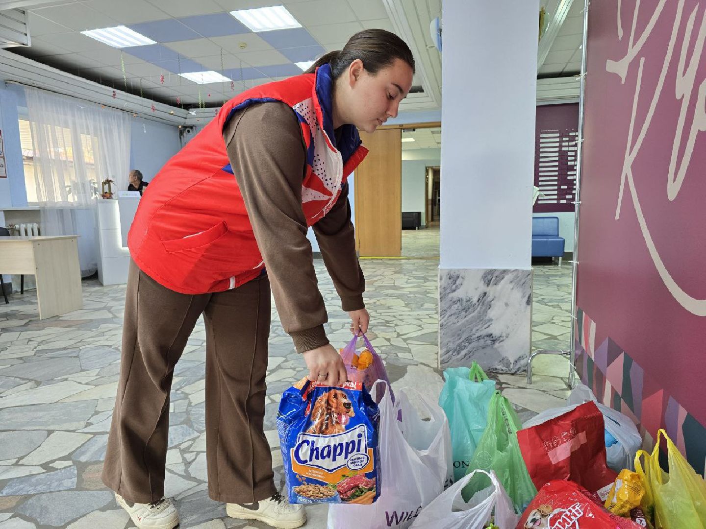 можайск, можайский муниципальный округ, подмосковье, приют для бездомных животных, пожар, волонтеры подмосковья, помощь приюту, собаки, бездомные животные,