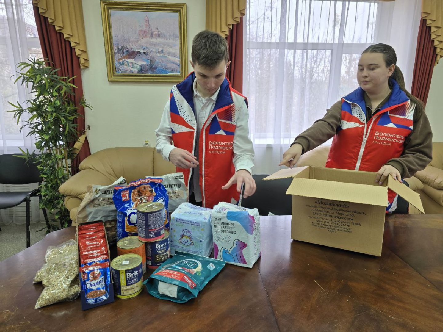 можайск, можайский муниципальный округ, подмосковье, приют для бездомных животных, пожар, волонтеры подмосковья, помощь приюту, собаки, бездомные животные,