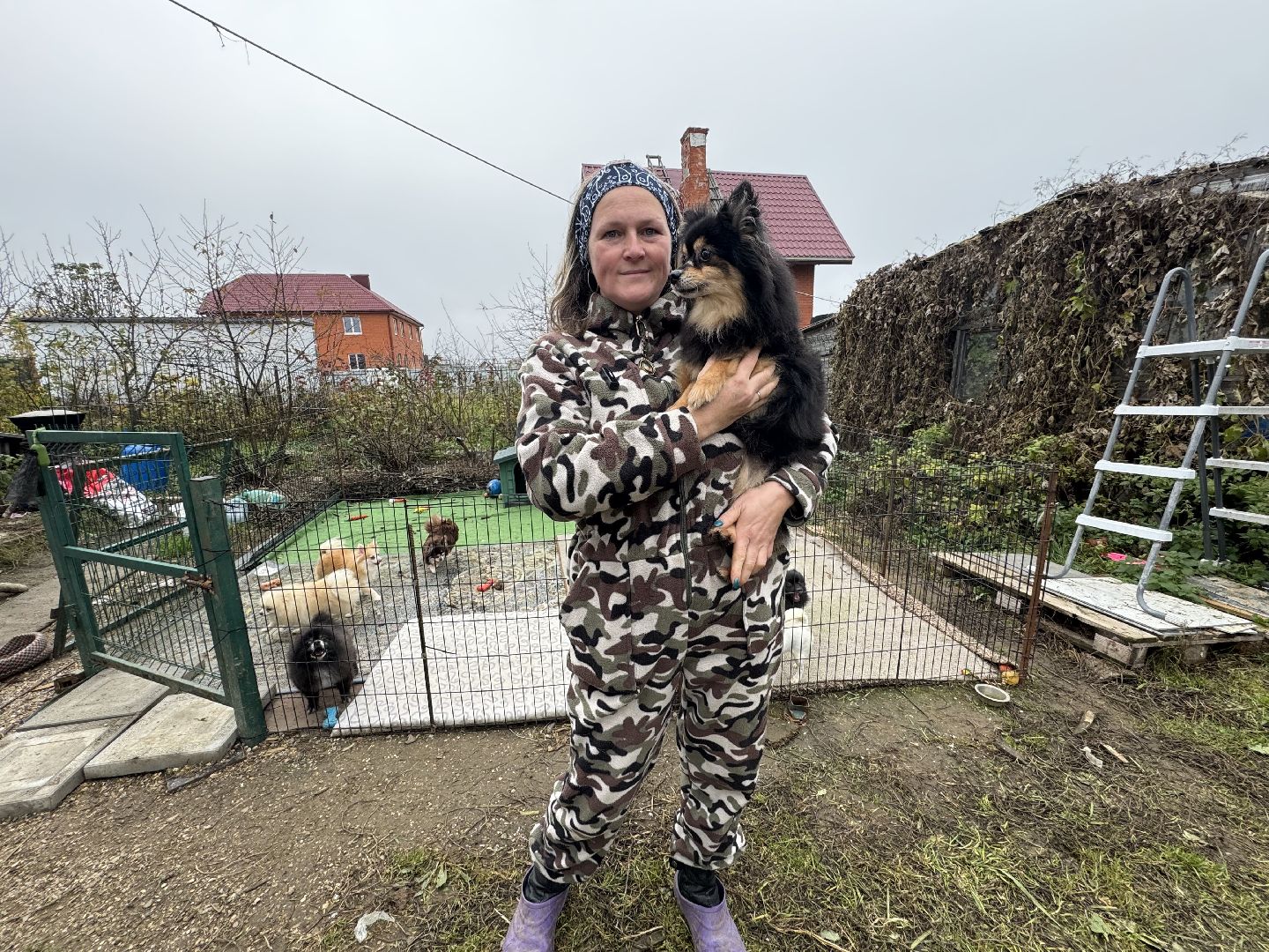 Сергиев Посад, приют бездомных животных, помощь животным,