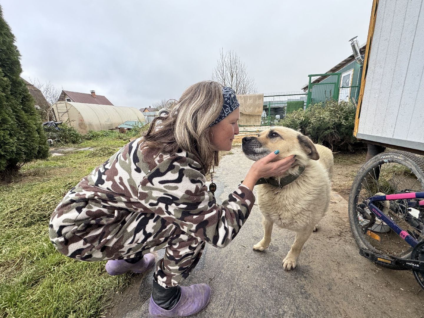 Сергиев Посад, приют бездомных животных, помощь животным,