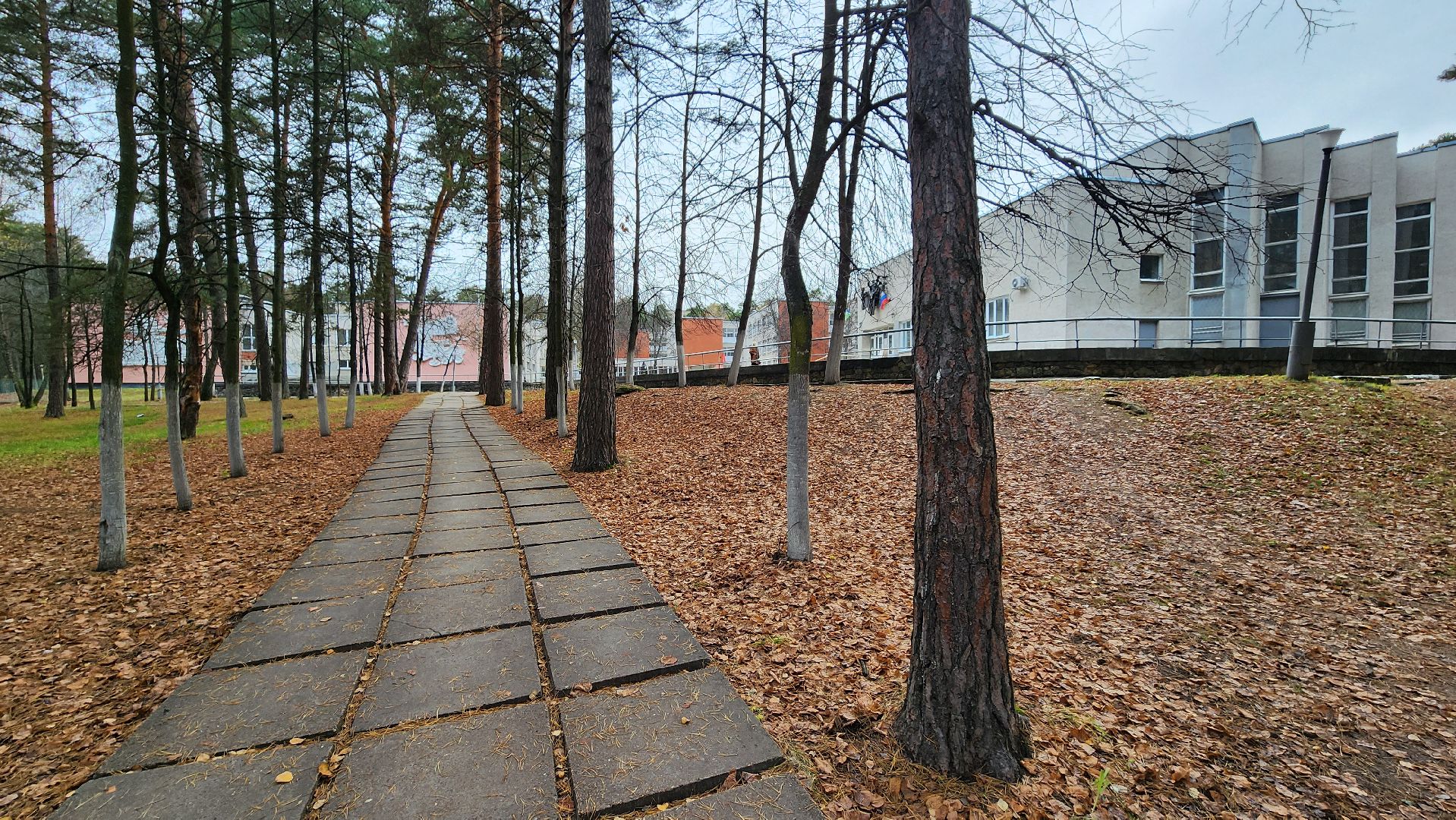 молодой учитель, протвино, лицей протвино,