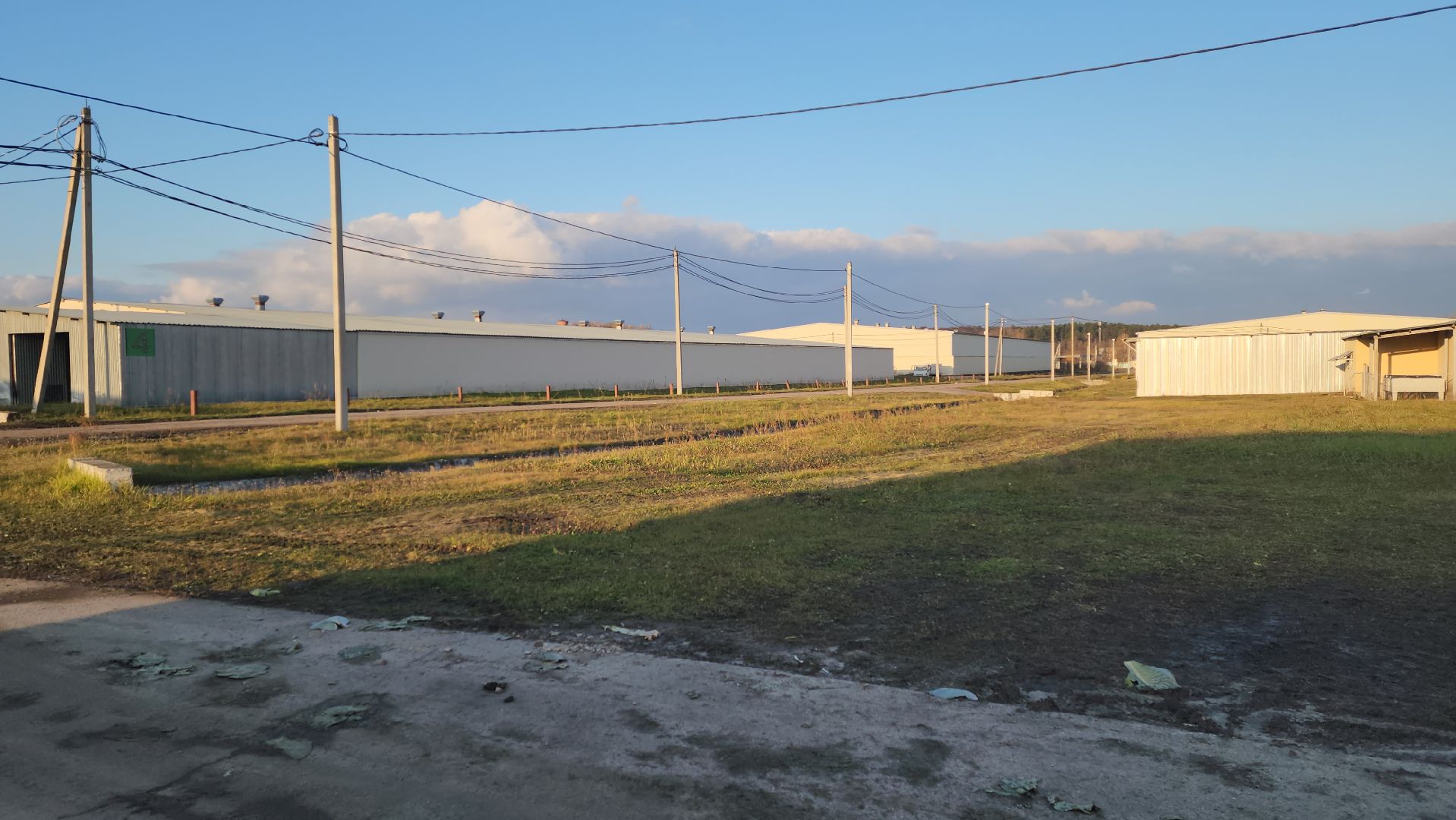 серпухов, ао дашковка, урожай-2025 в серпухове, овощехранилище в серпухове, сельское хозяйство в серпухове,