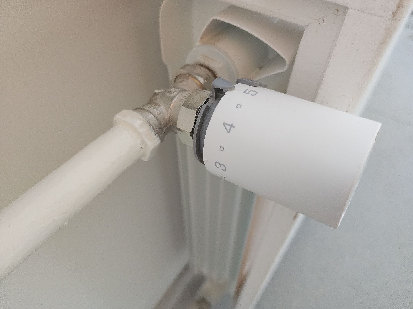 Егорьевск , Подмосковье , Московская область ,