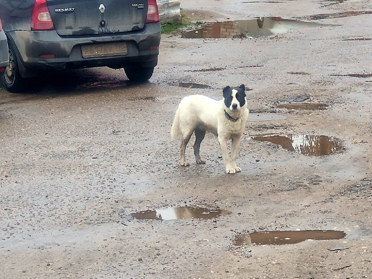 воскресенск, Белоозерское ЖКХ, каналопромывочная машина,