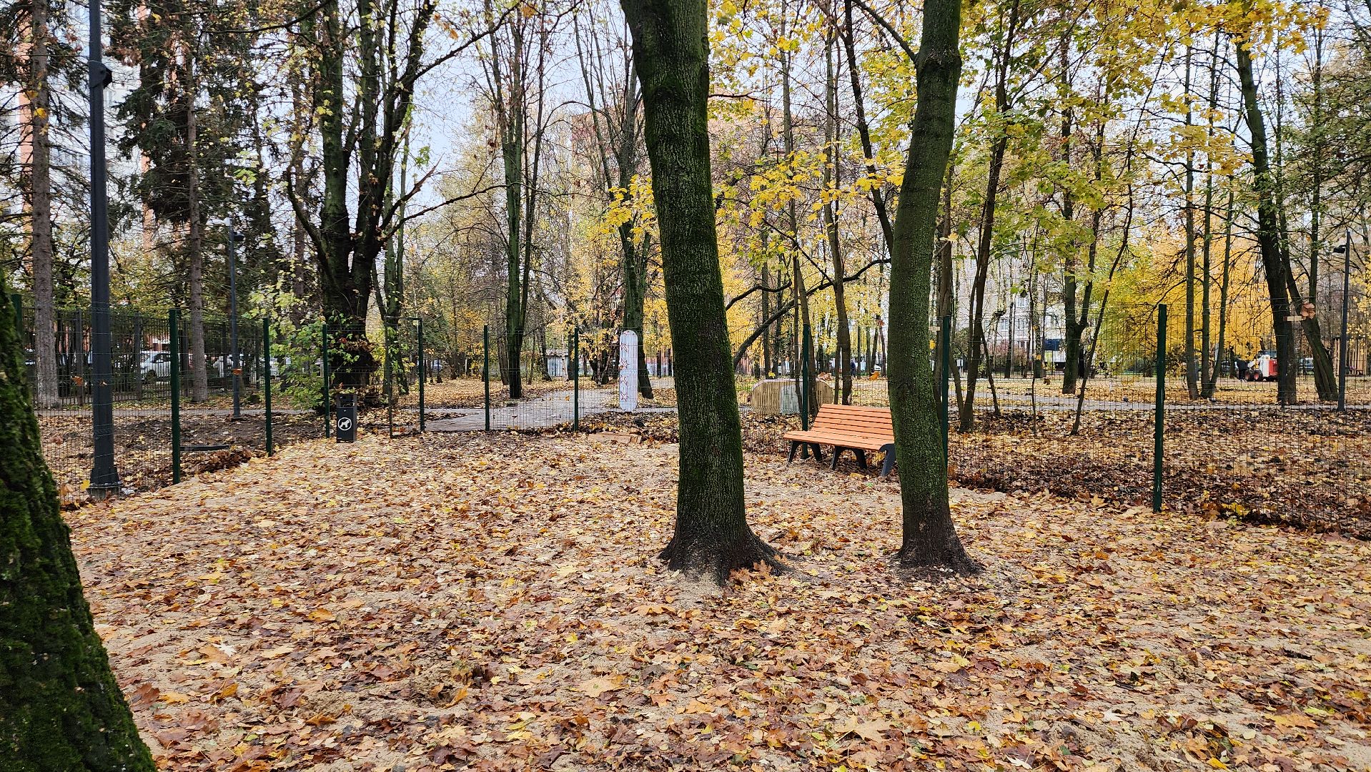 серпухов, подмосковье, площадка для выгула собак,