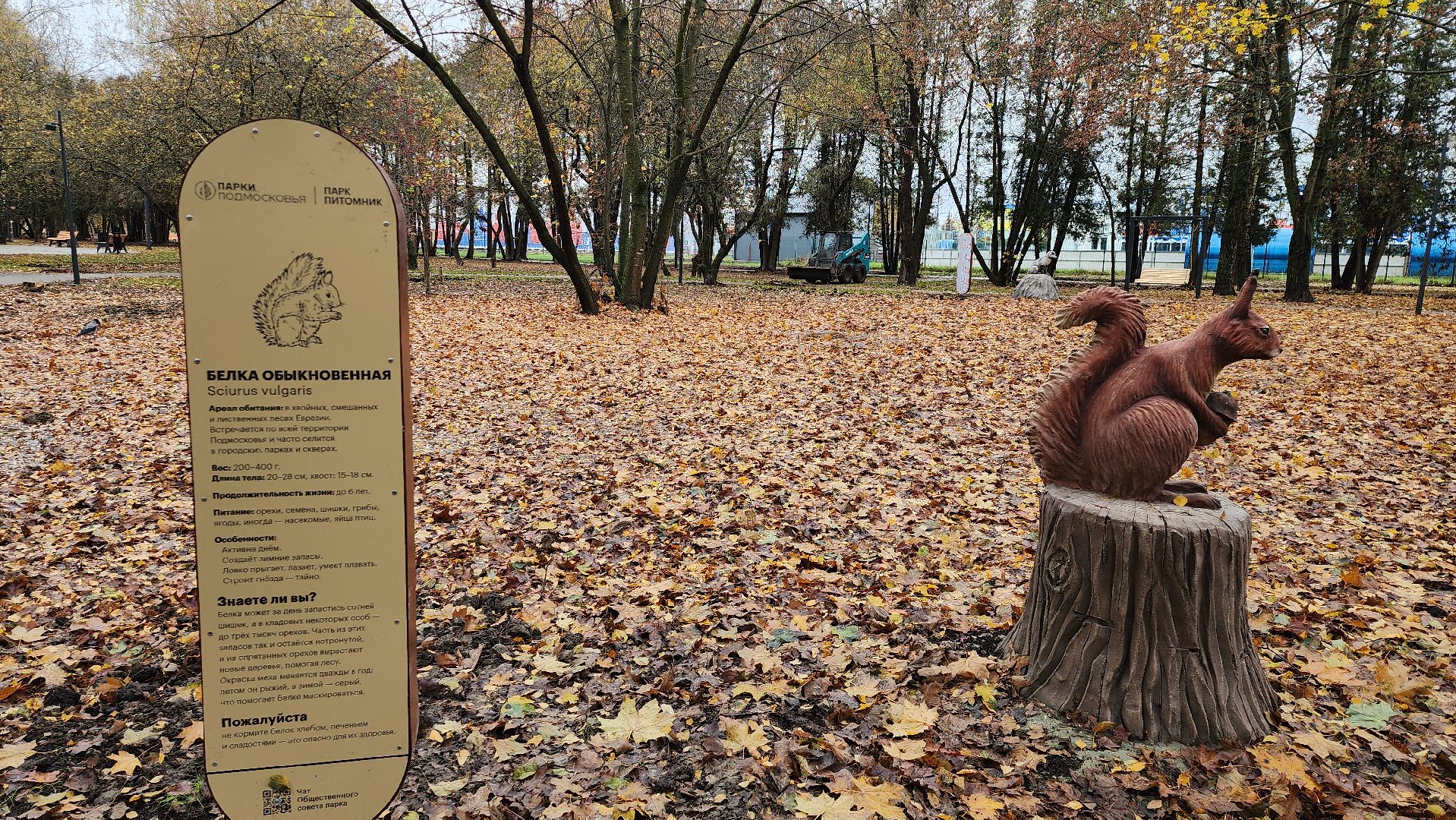 серпухов, подмосковье, площадка для выгула собак,