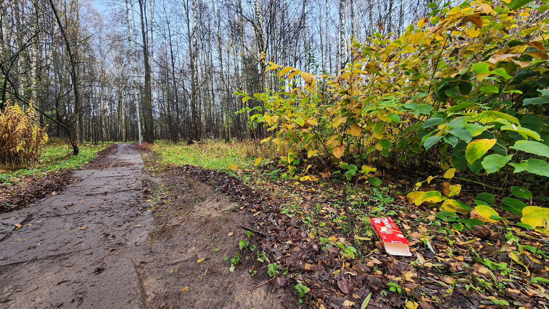 осенняя уборка, комбинат благоустройства, протвино,