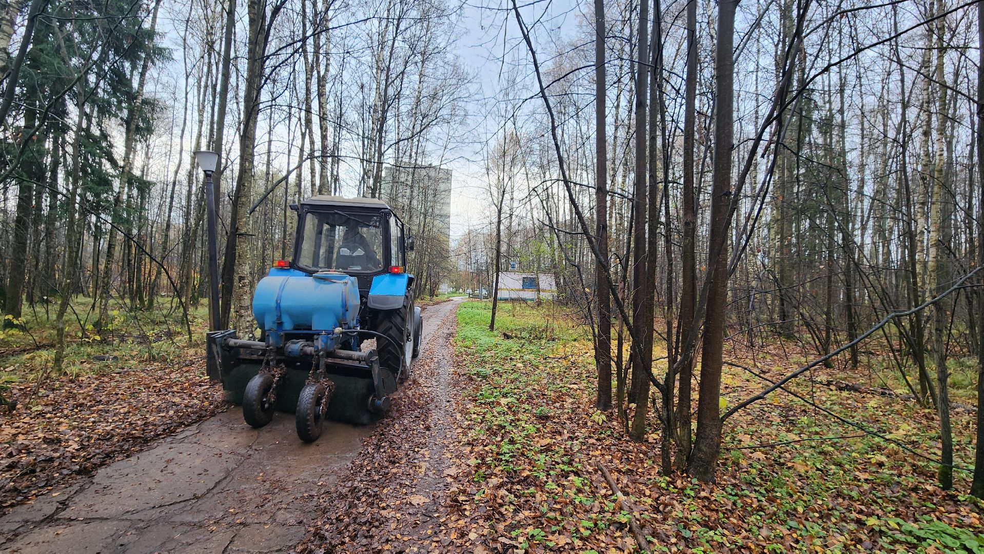 осенняя уборка, комбинат благоустройства, протвино,