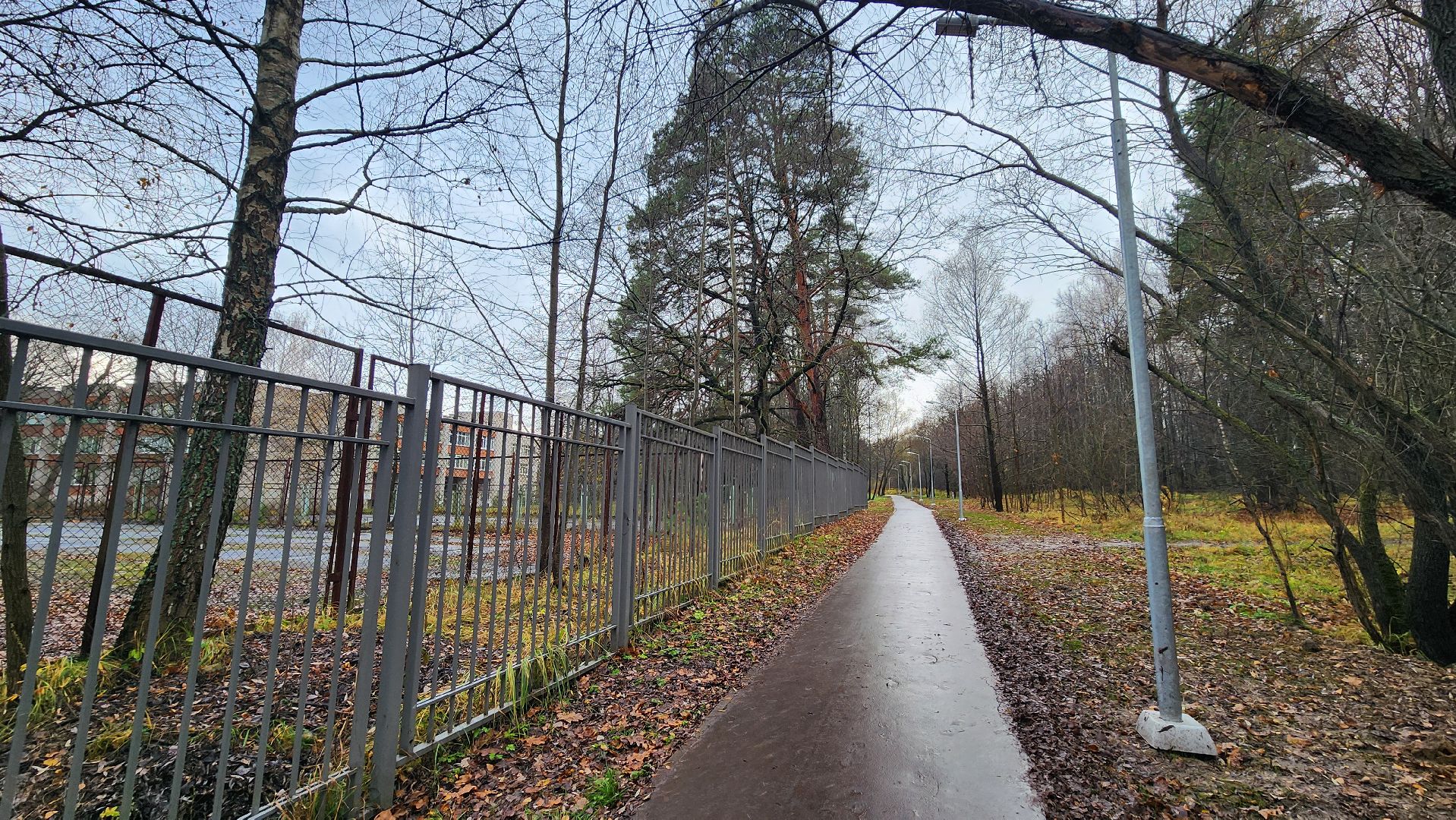 осенняя уборка, комбинат благоустройства, протвино,