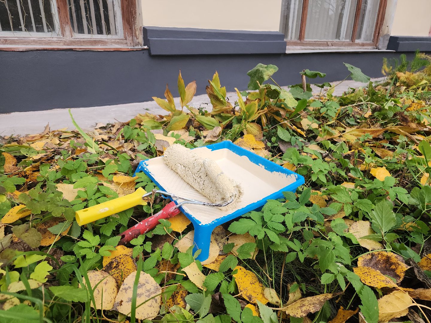 фрязино, ремонт входной группы, культурный центр, учреждение культуры, окна,