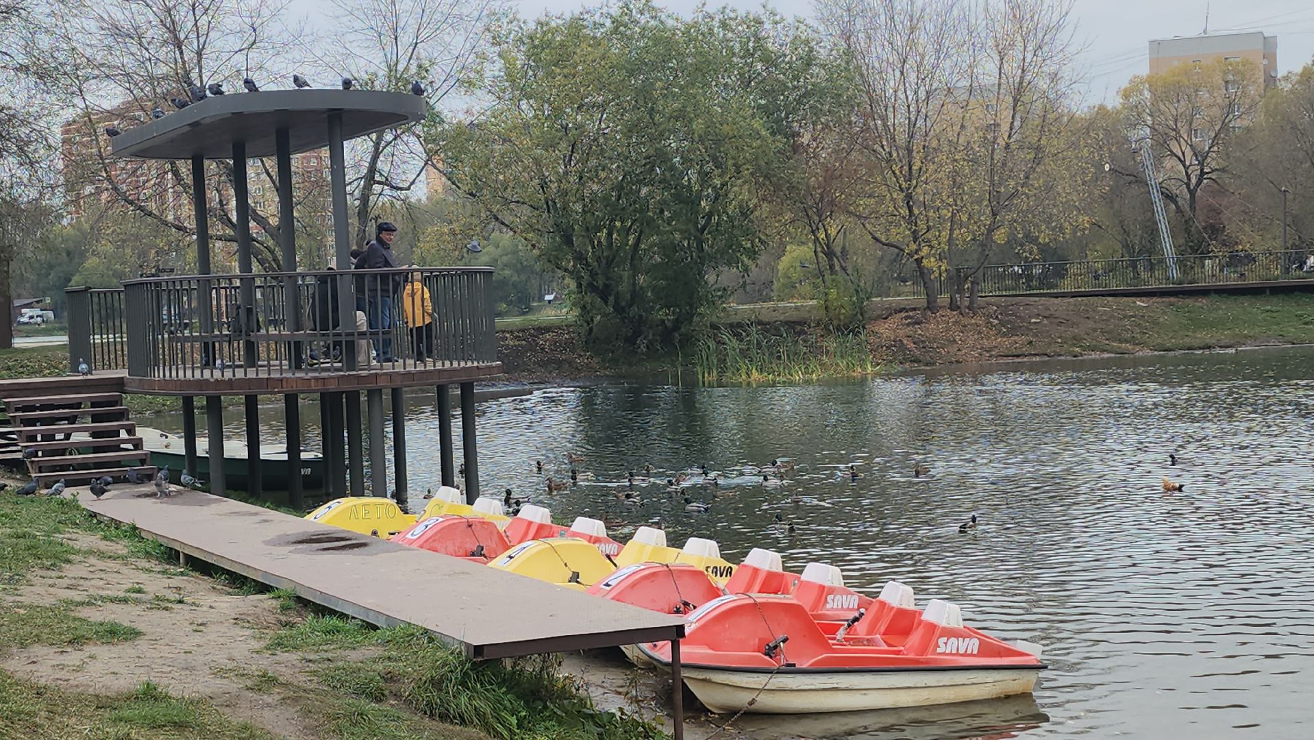 Люберцы, наташинские пруды, наташинский парк, очистка прибрежной зоны,