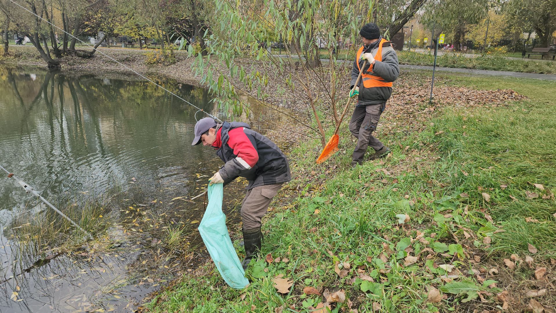 Люберцы, наташинские пруды, наташинский парк, очистка прибрежной зоны,