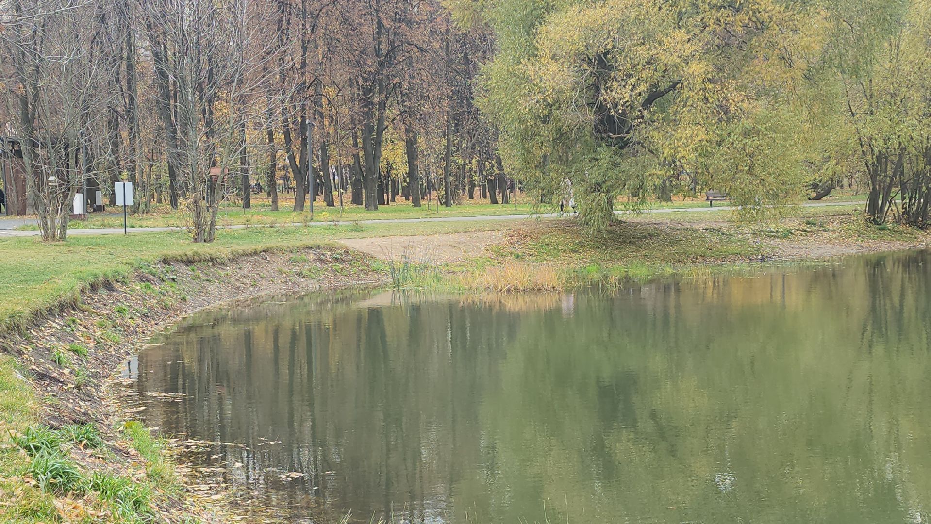 Люберцы, наташинские пруды, наташинский парк, очистка прибрежной зоны,