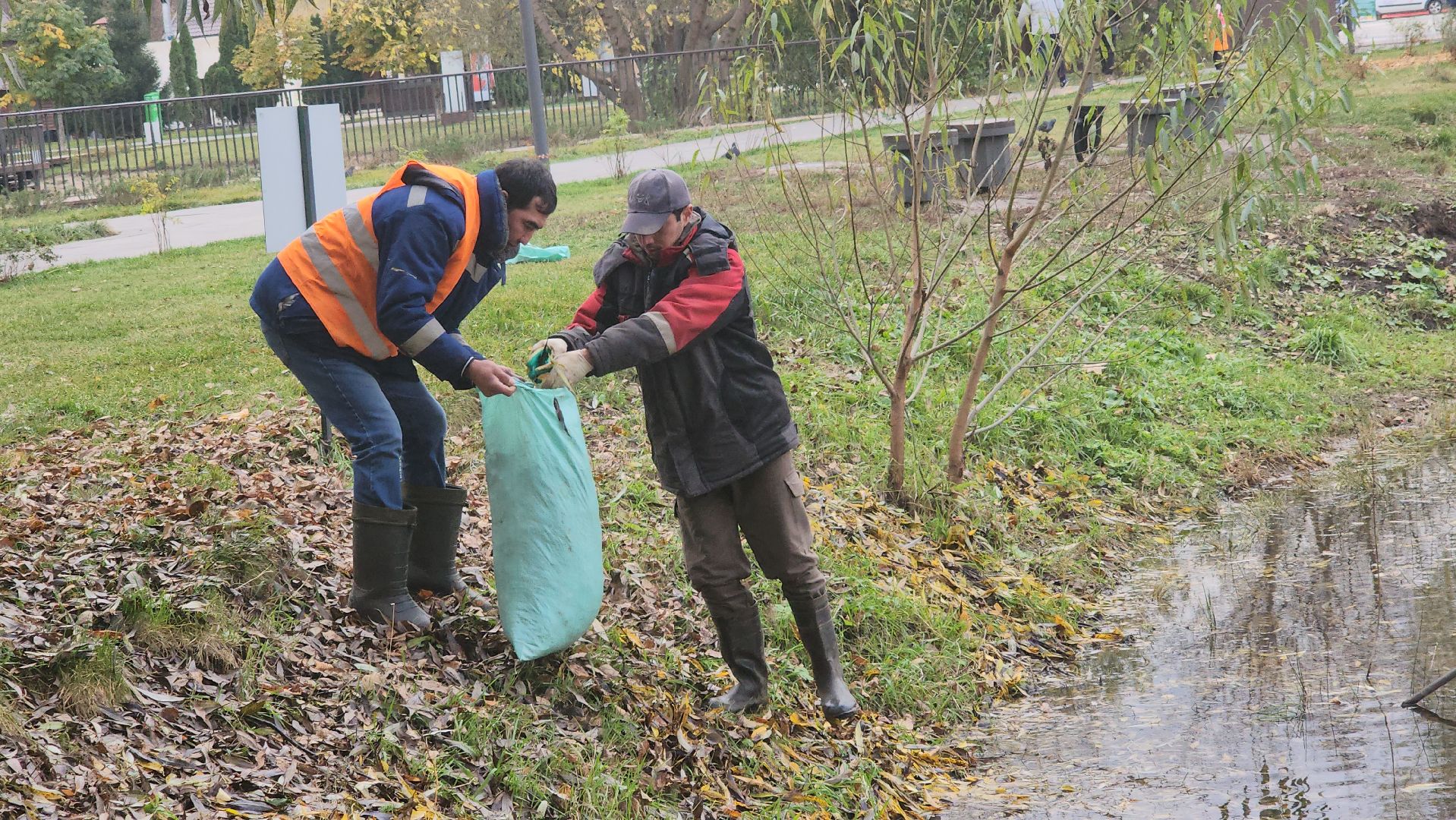 Люберцы, наташинские пруды, наташинский парк, очистка прибрежной зоны,
