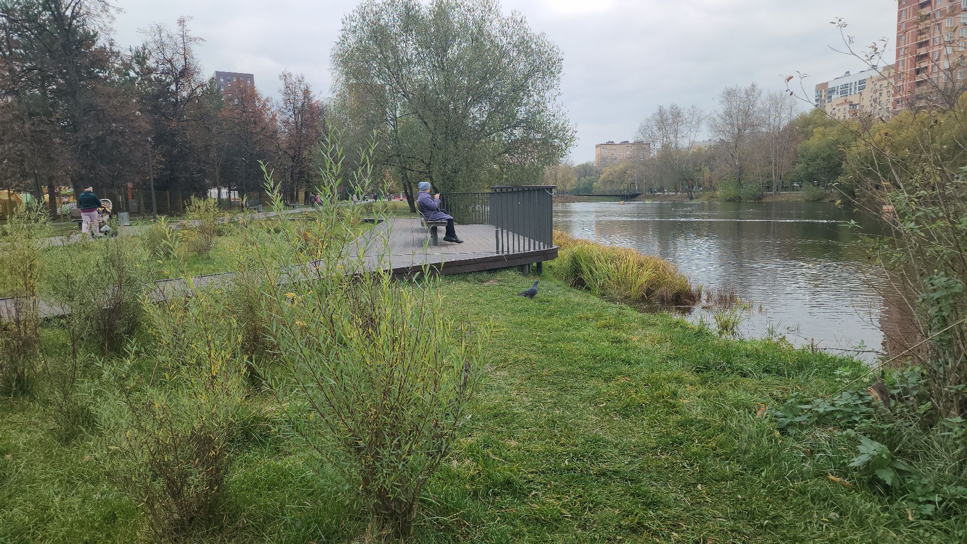Люберцы, наташинские пруды, наташинский парк, очистка прибрежной зоны,